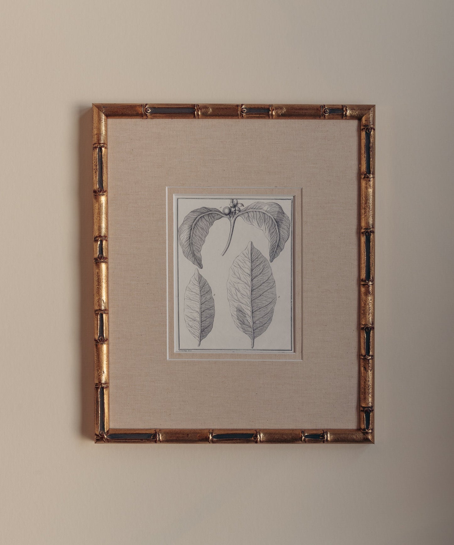 The Coffee Plant Artwork
