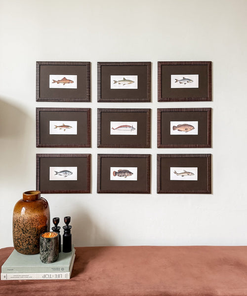The School of Fish Artwork