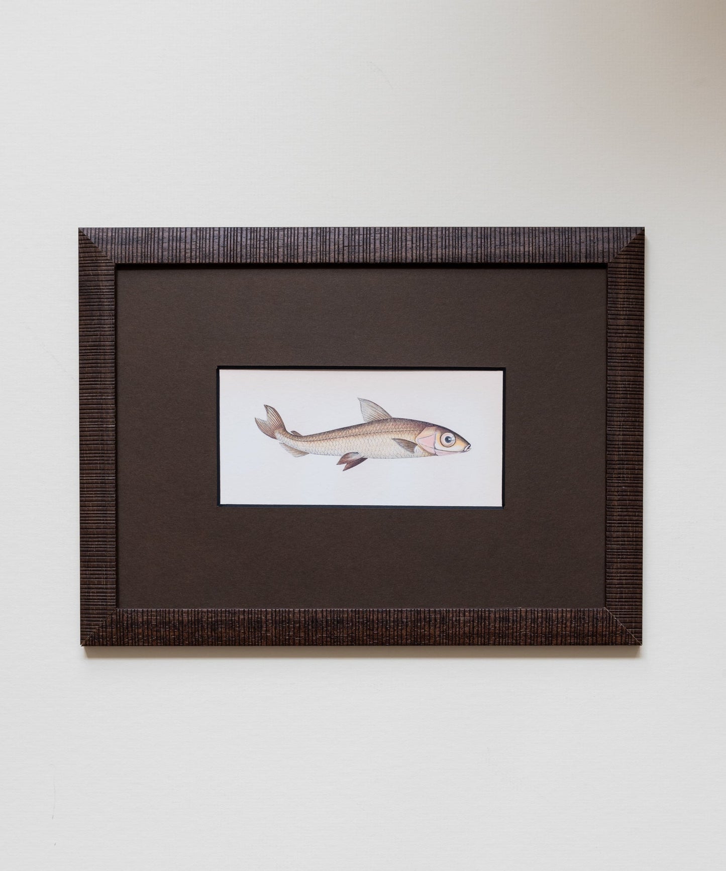 The School of Fish Artwork