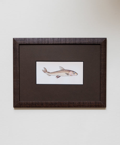 The School of Fish Artwork