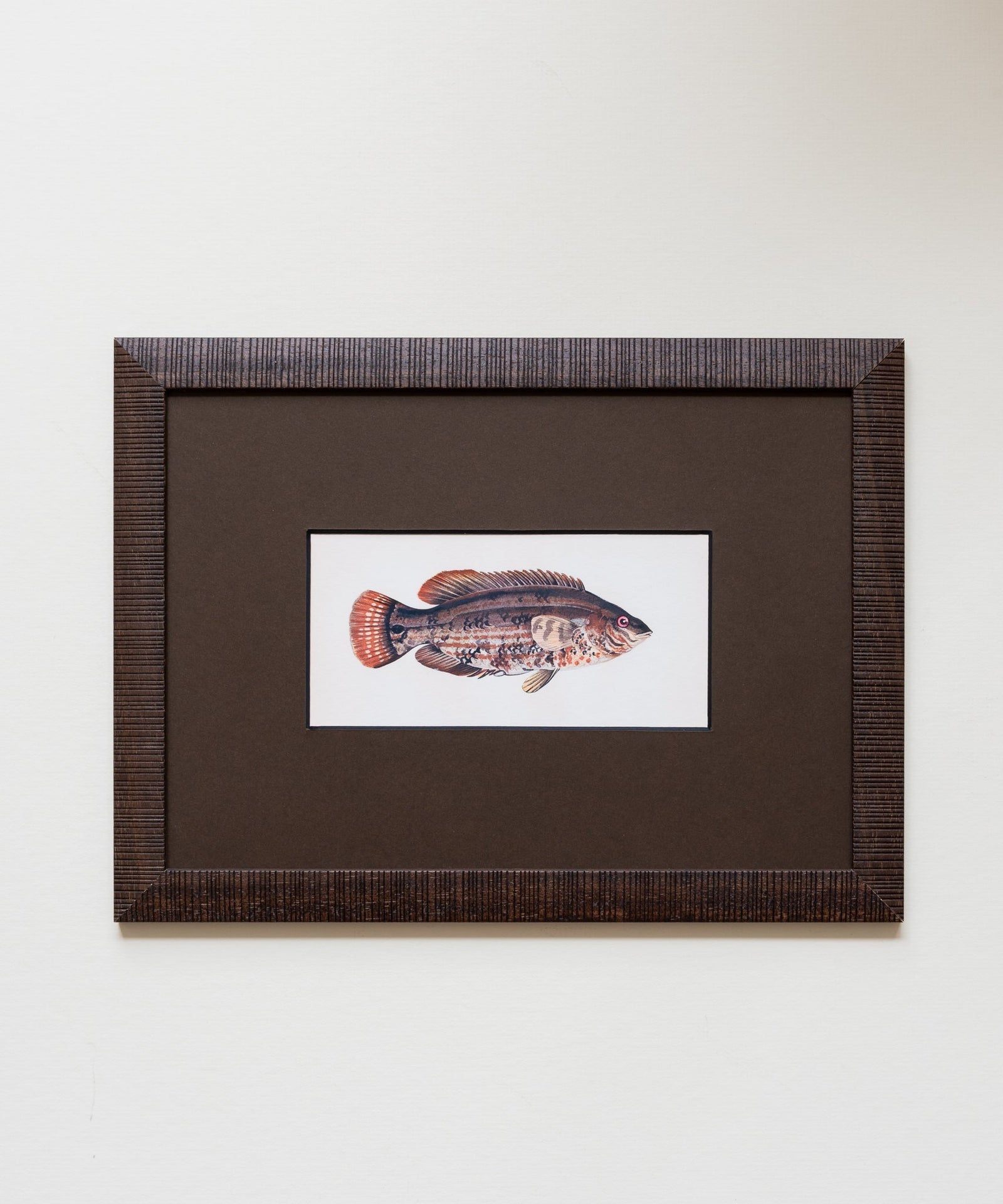 The School of Fish Artwork