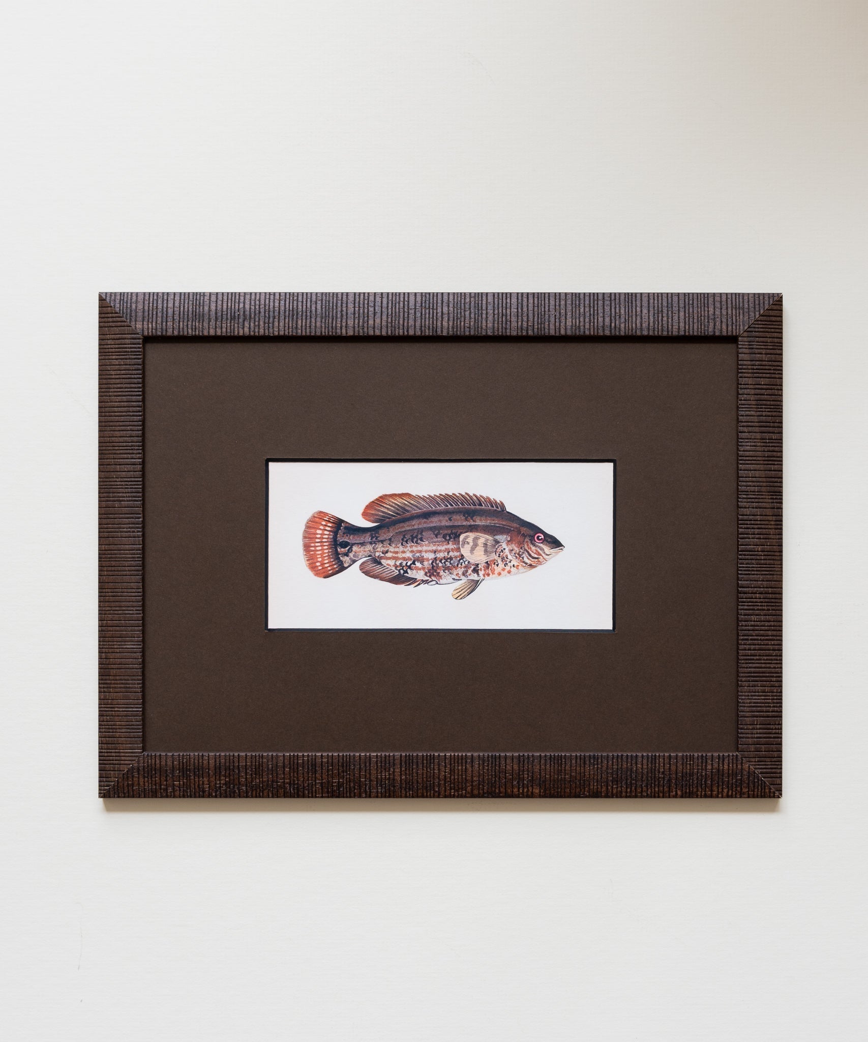 The School of Fish Artwork