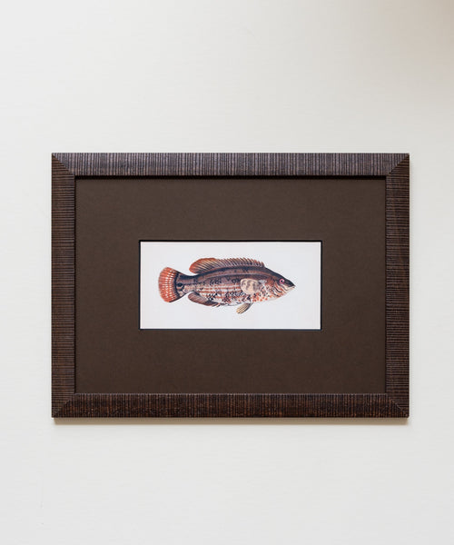 The School of Fish Artwork
