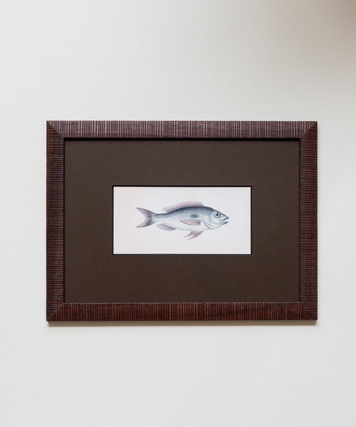 The School of Fish Artwork
