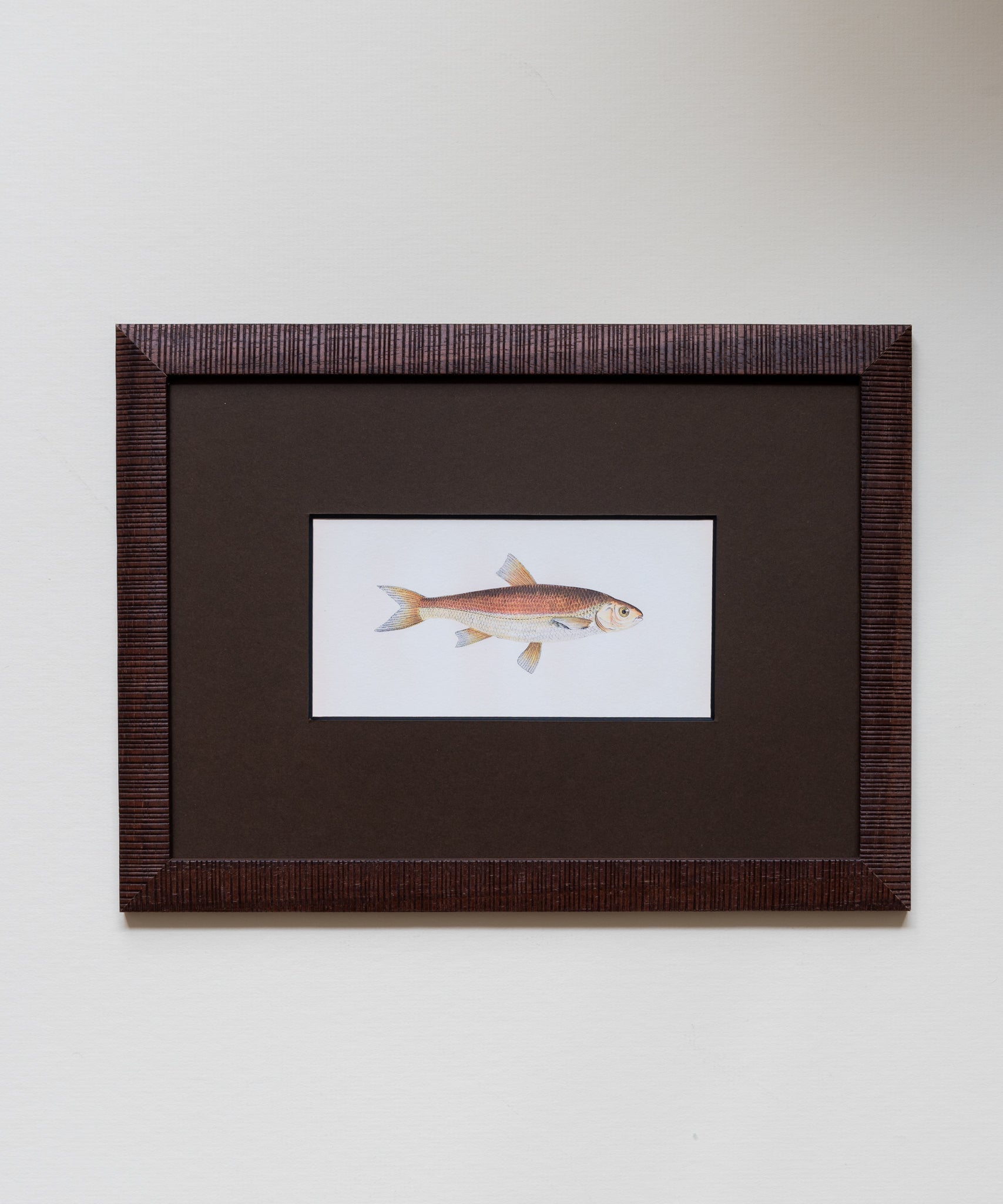 The School of Fish Artwork