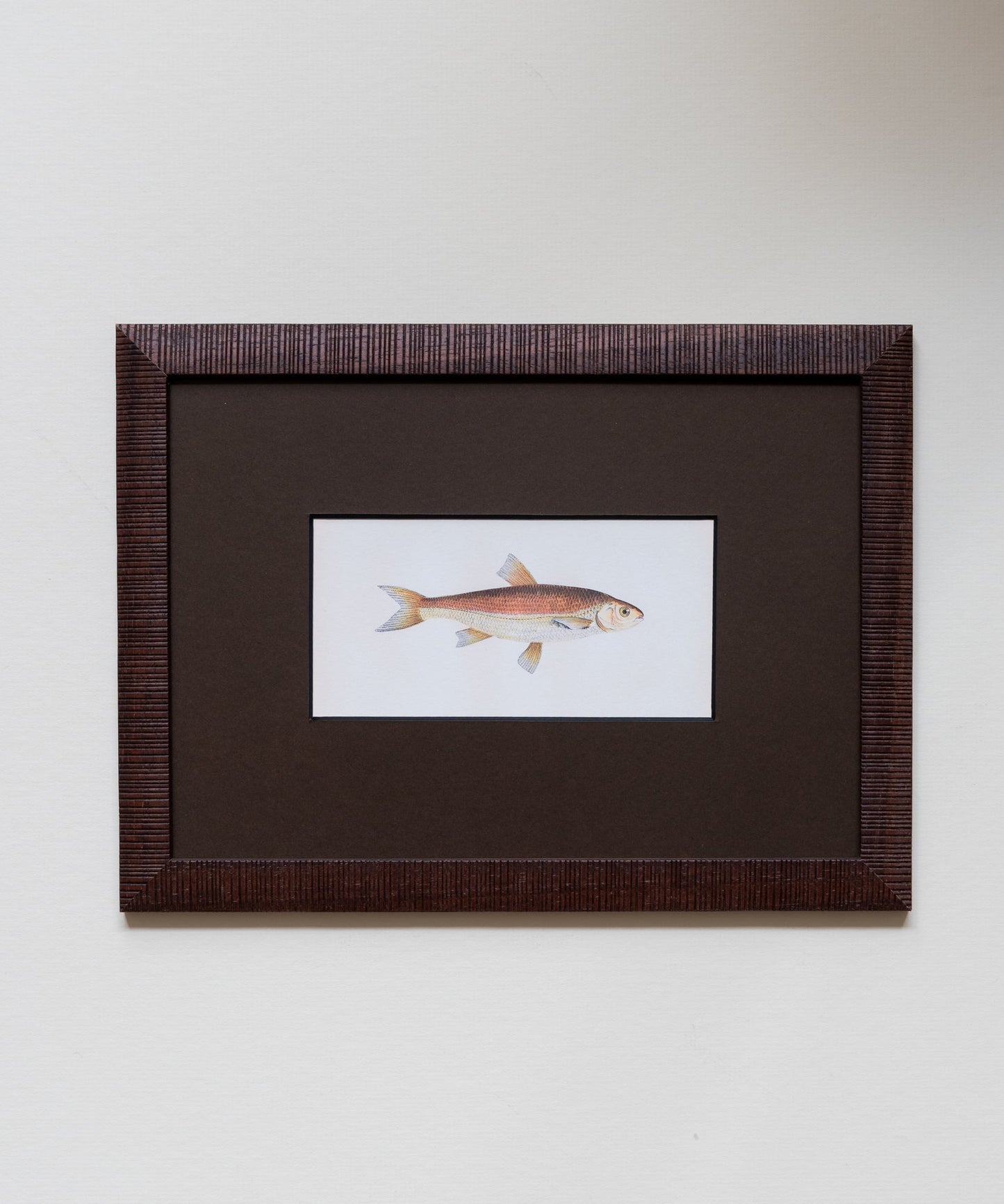 The School of Fish Artwork
