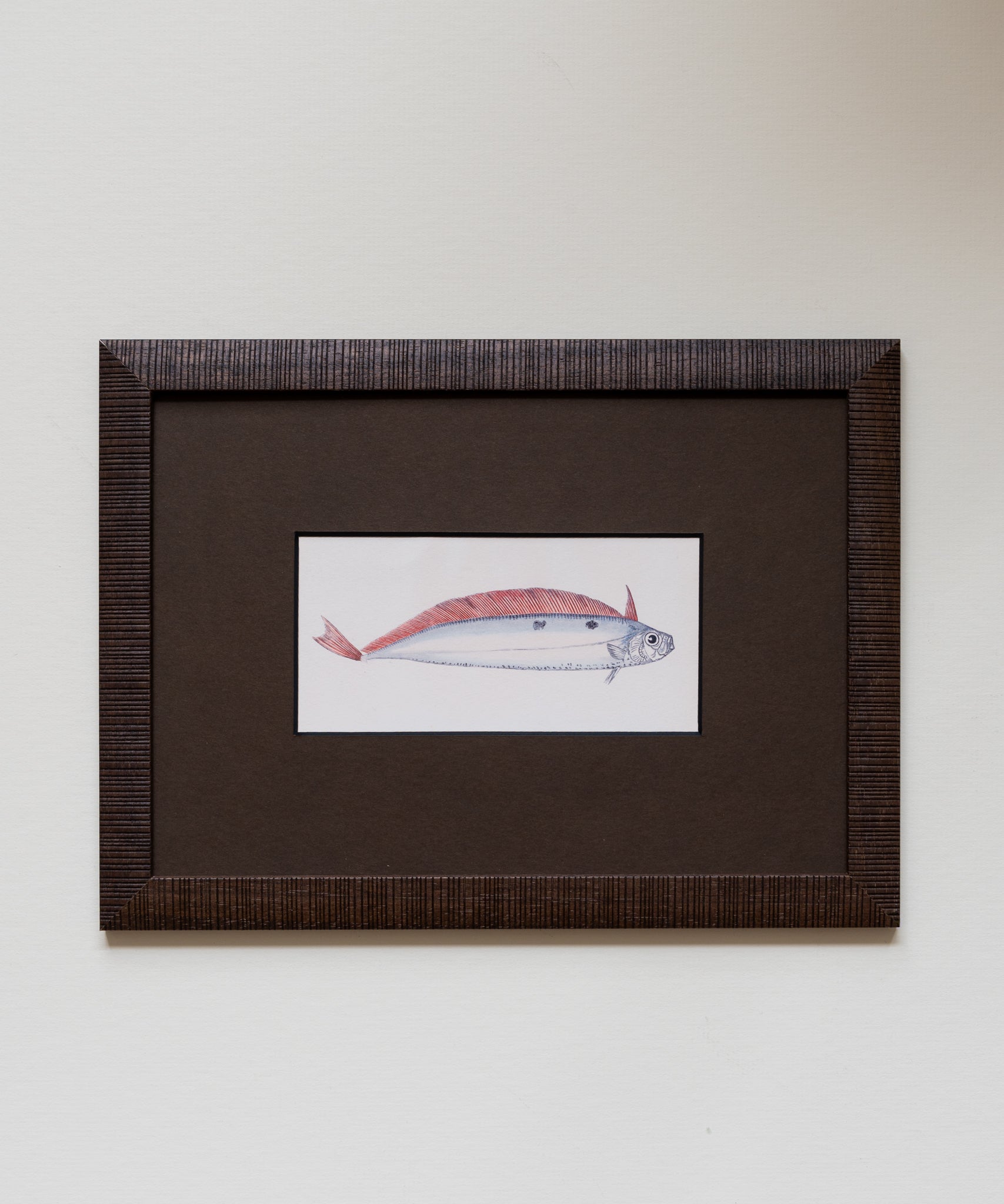 The School of Fish Artwork