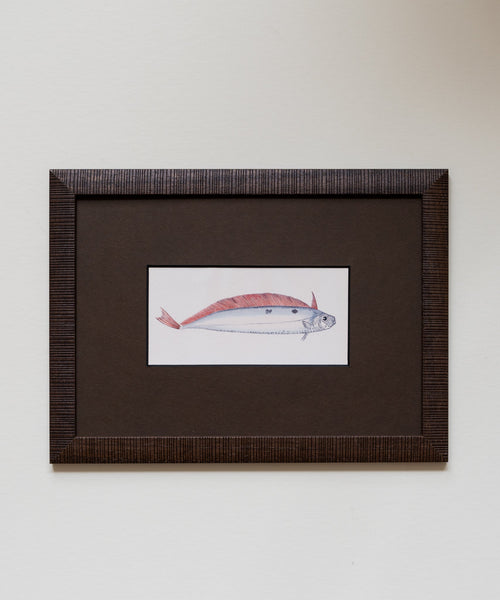 The School of Fish Artwork