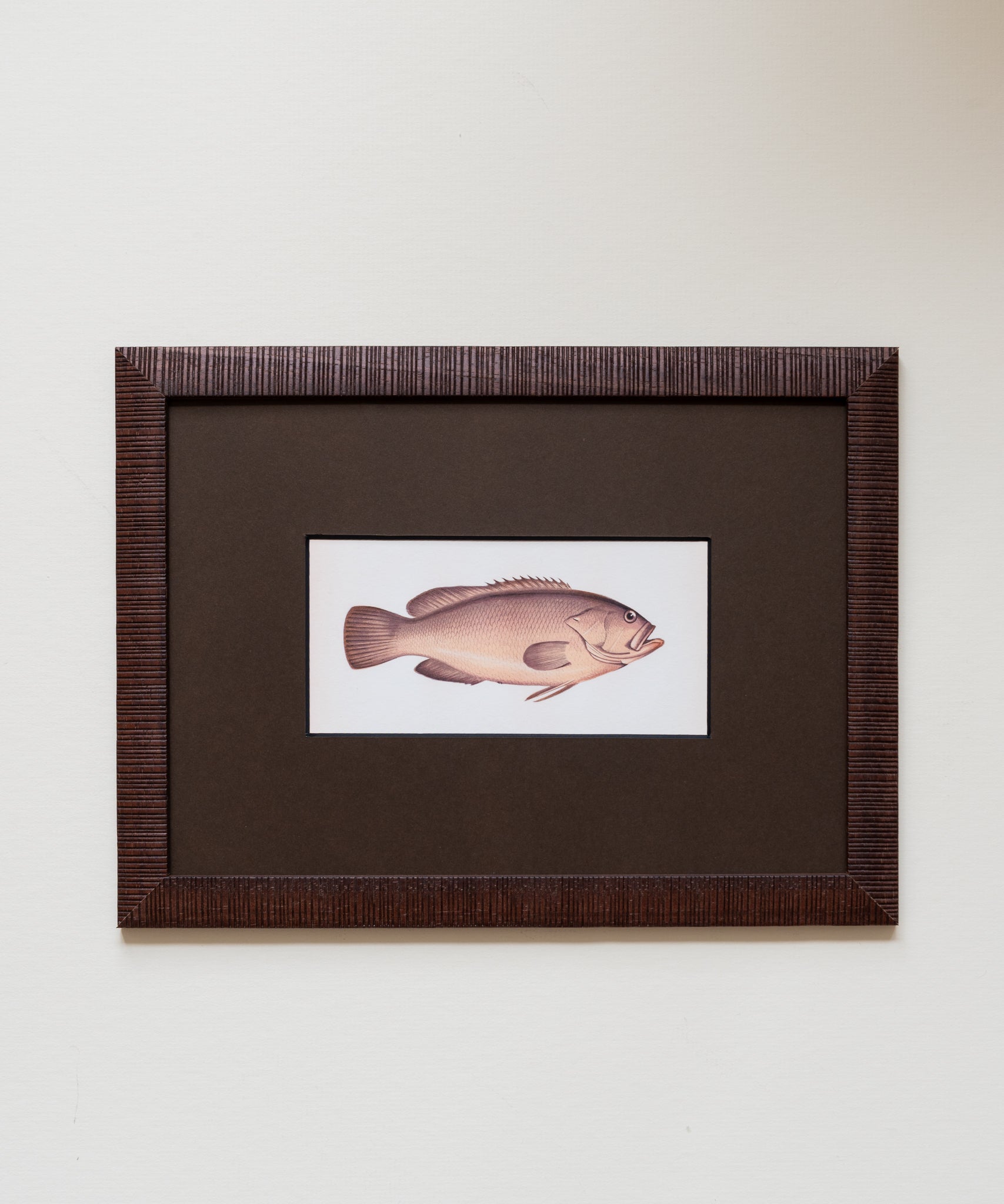 The School of Fish Artwork