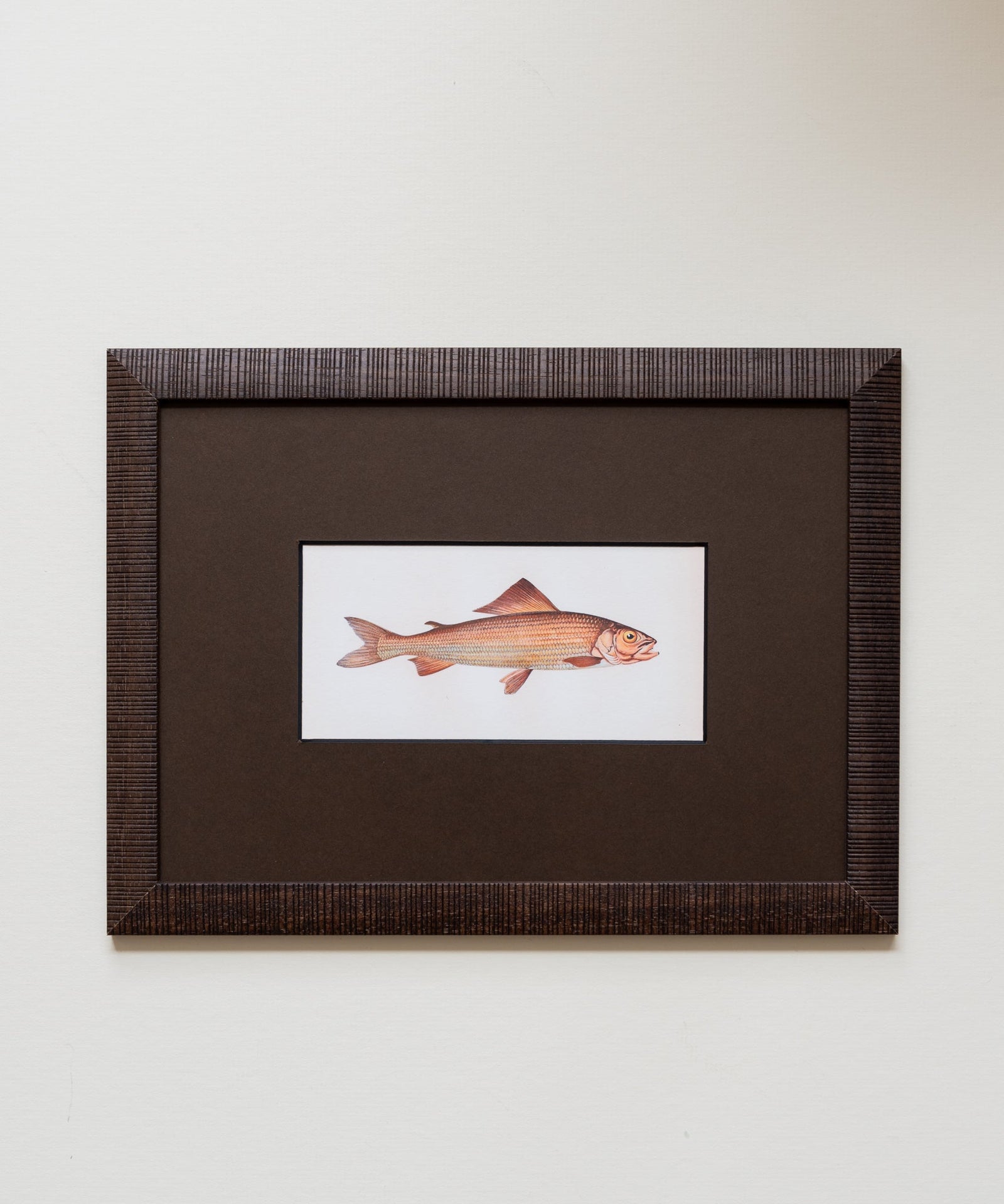 The School of Fish Artwork