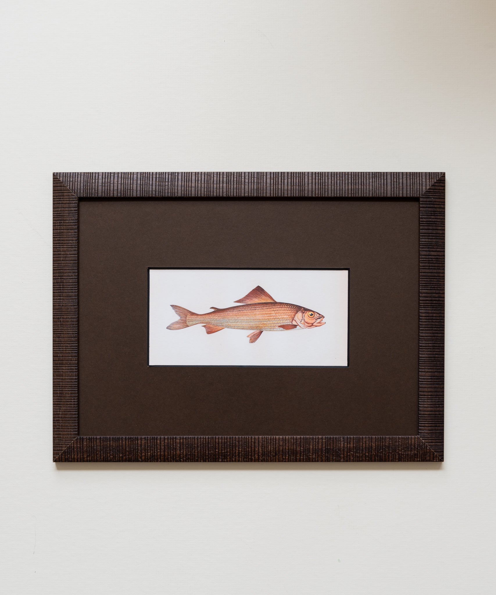 The School of Fish Artwork