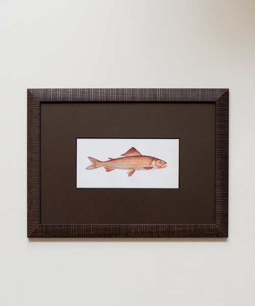 The School of Fish Artwork