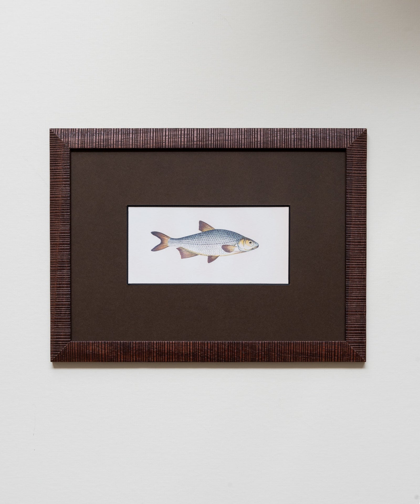 The School of Fish Artwork