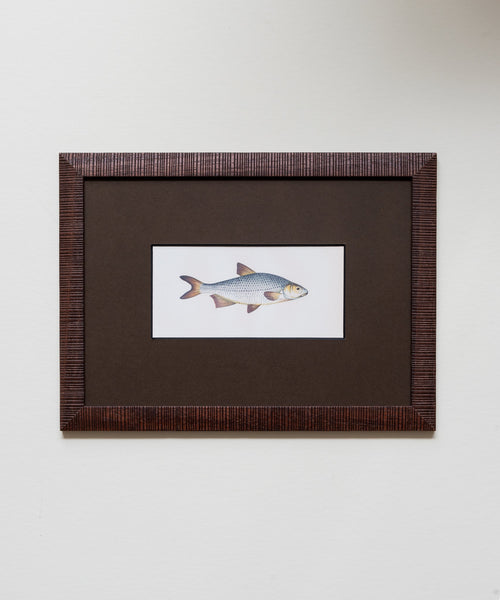 The School of Fish Artwork