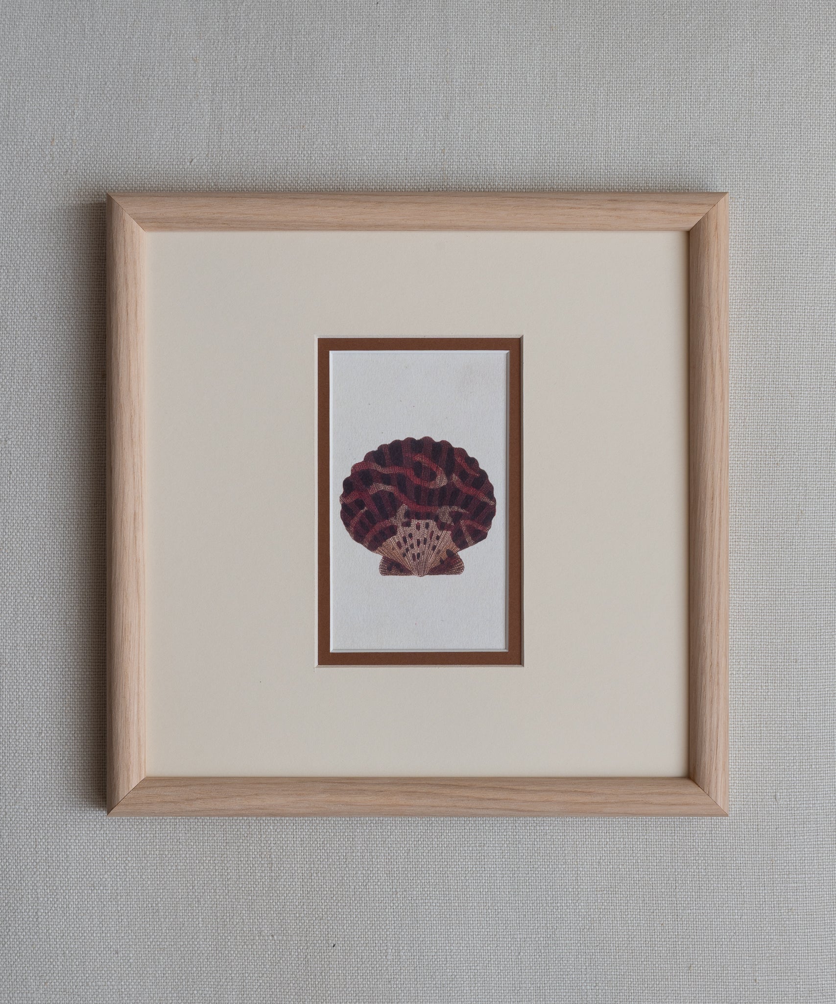 The Shells Artwork