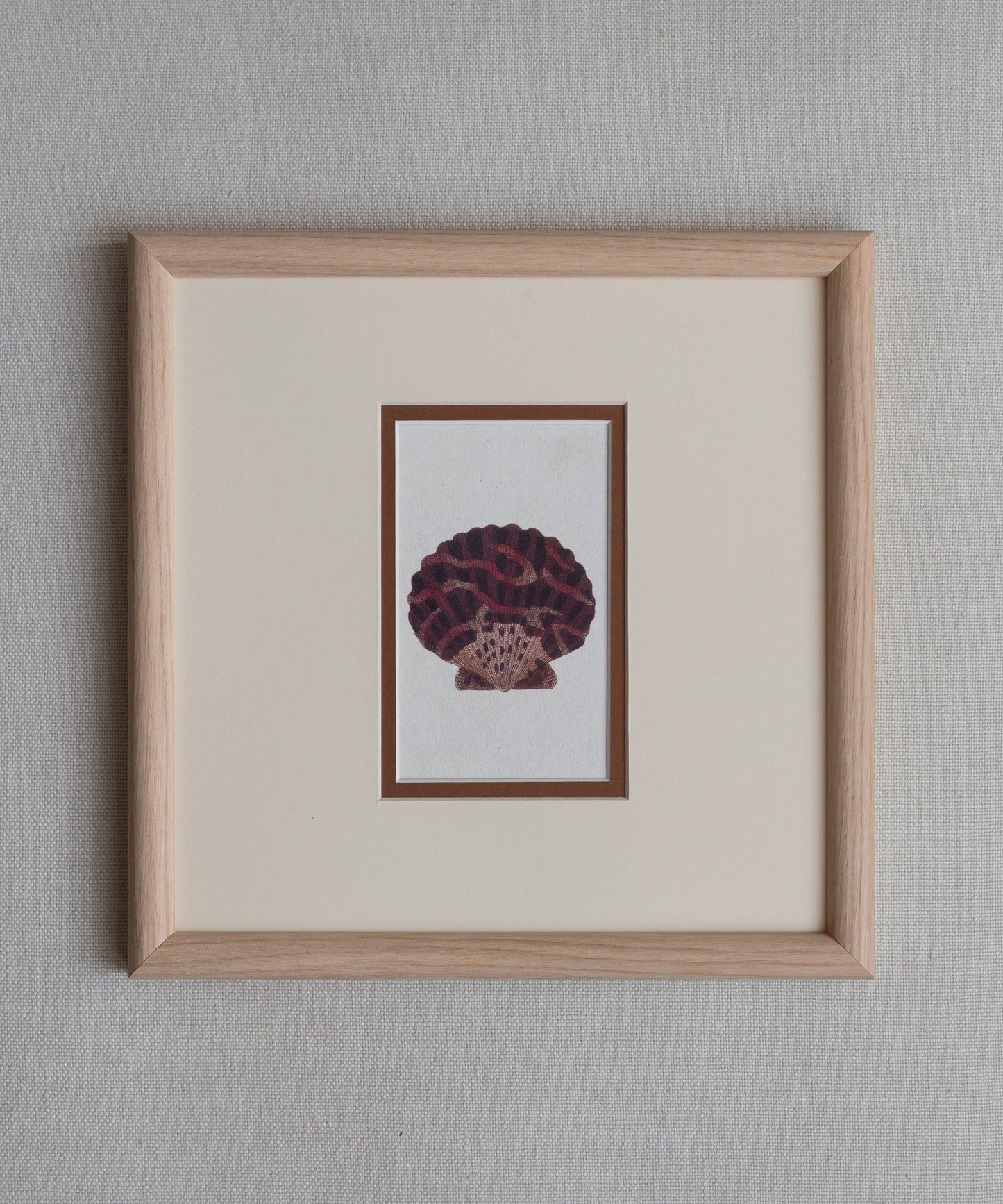 The Shells Artwork