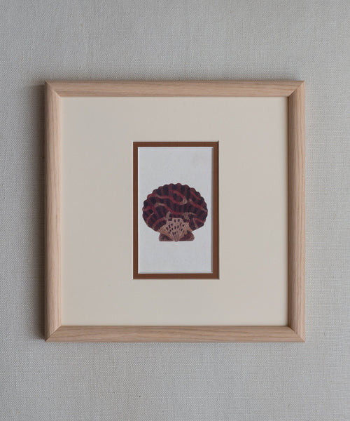 The Shells Artwork