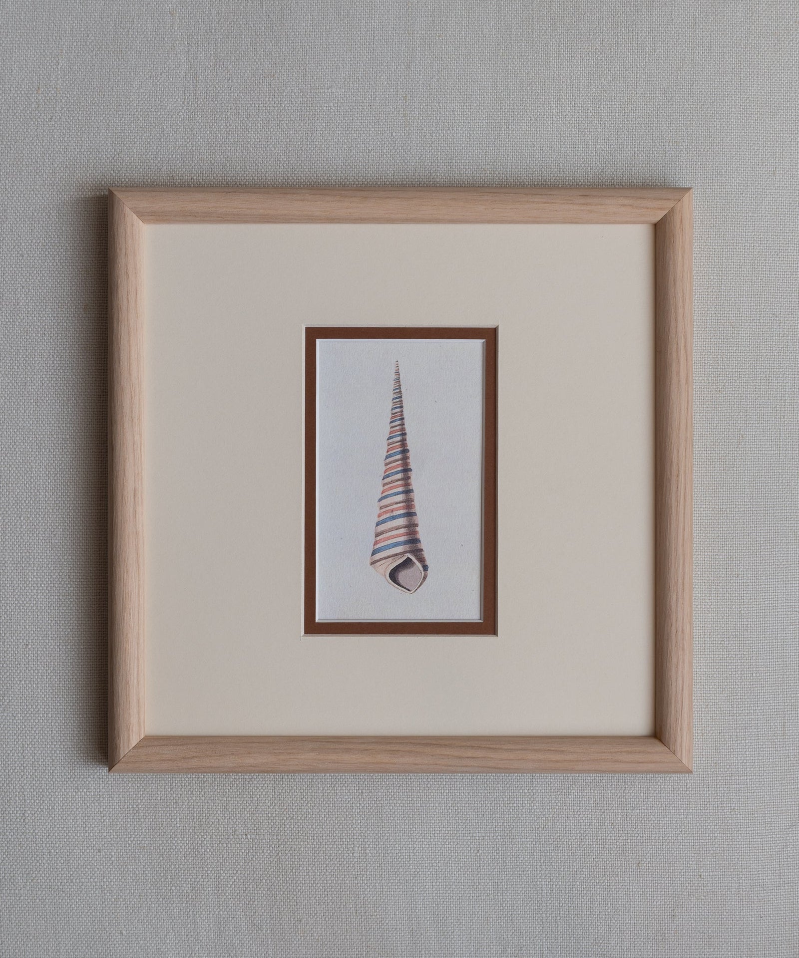 The Shells Artwork