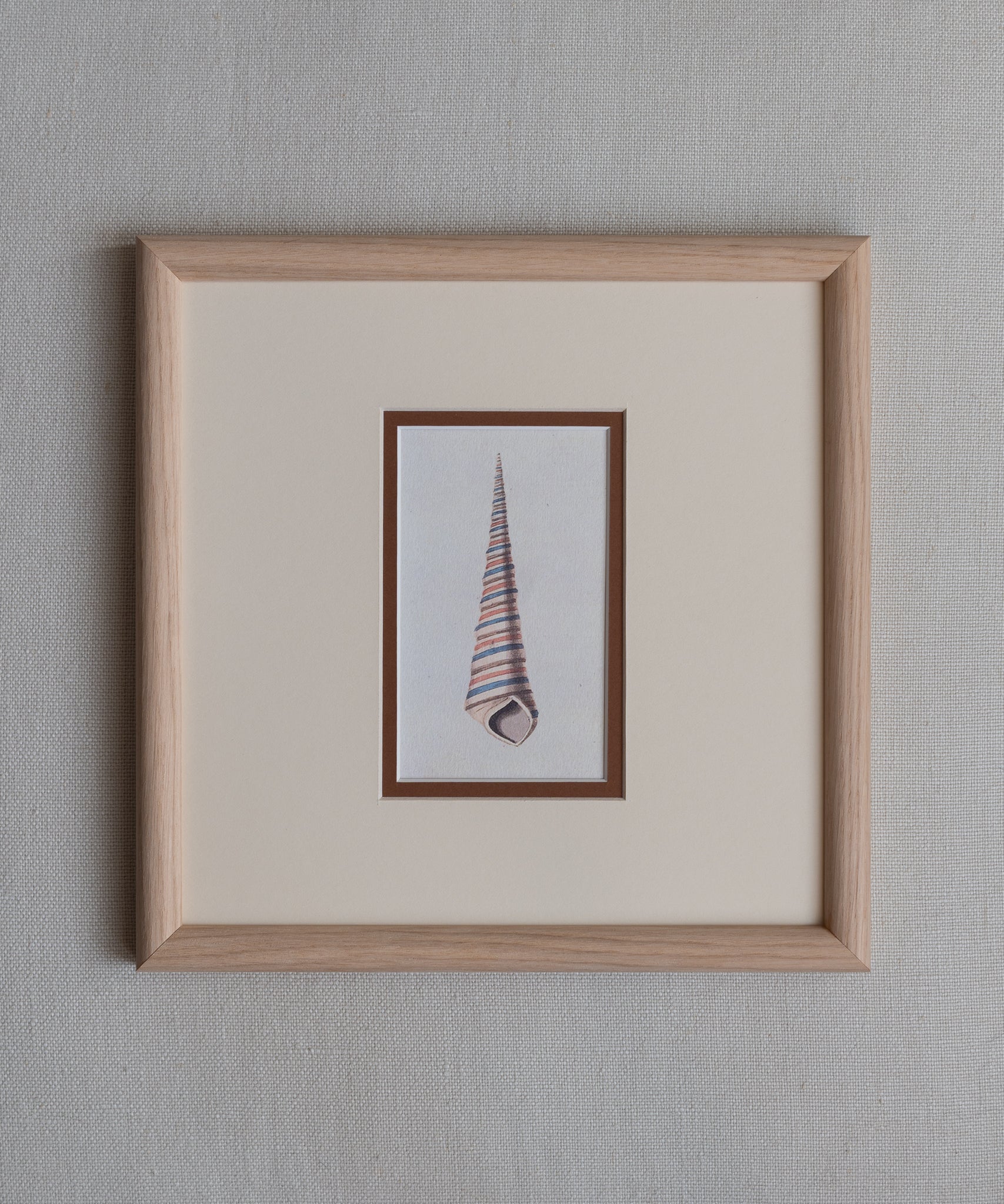 The Shells Artwork