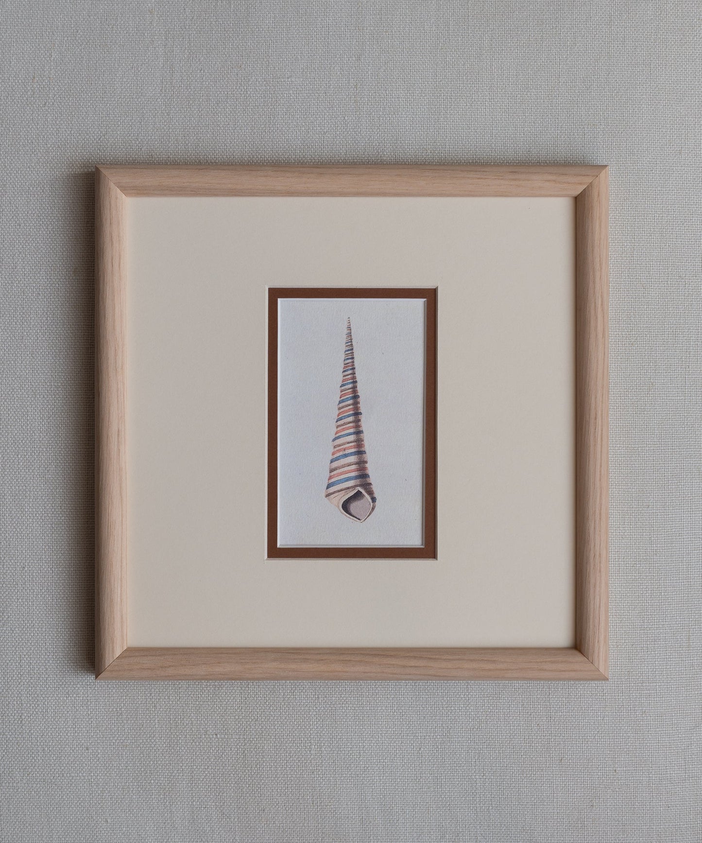 The Shells Artwork