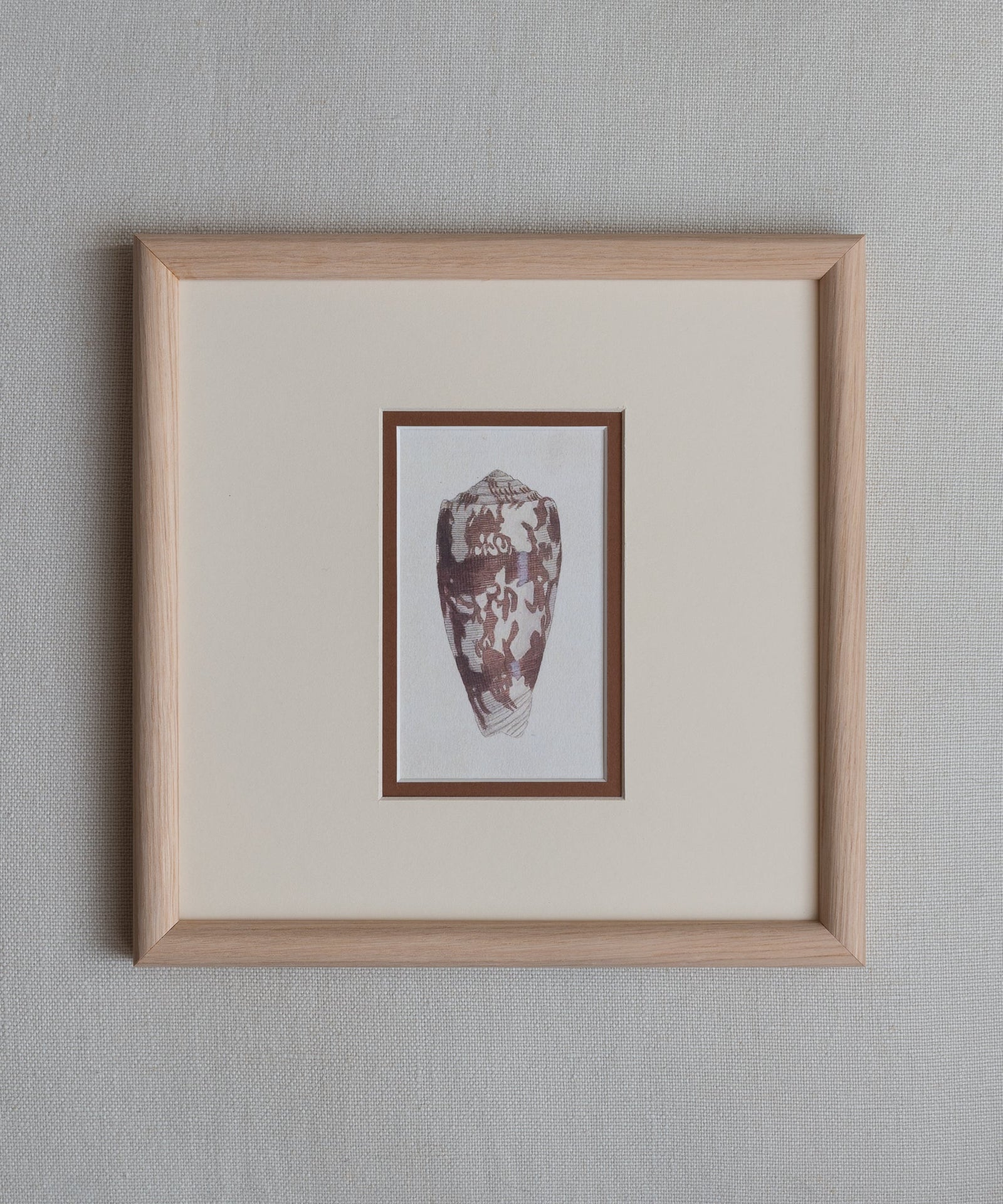 The Shells Artwork