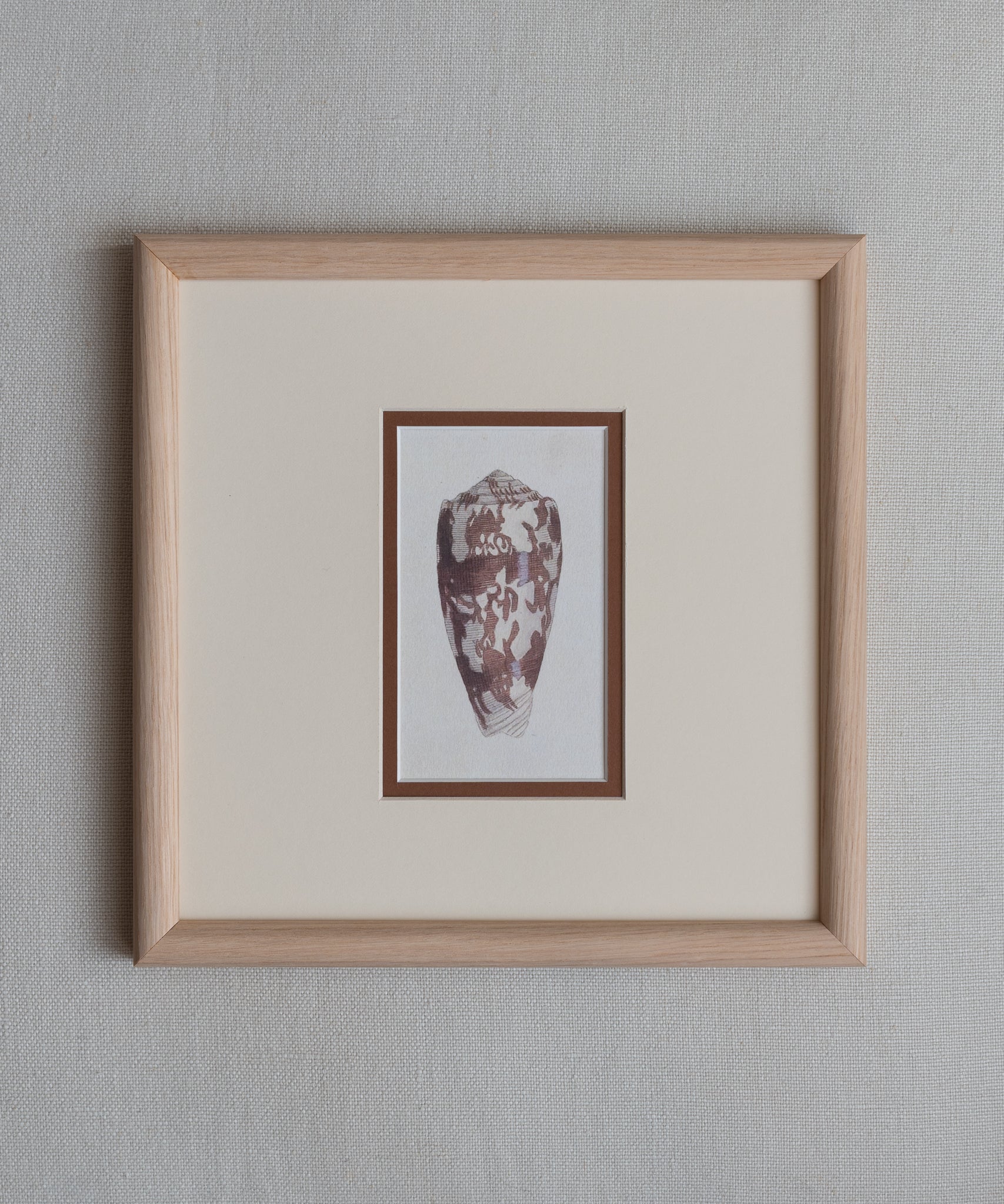 The Shells Artwork