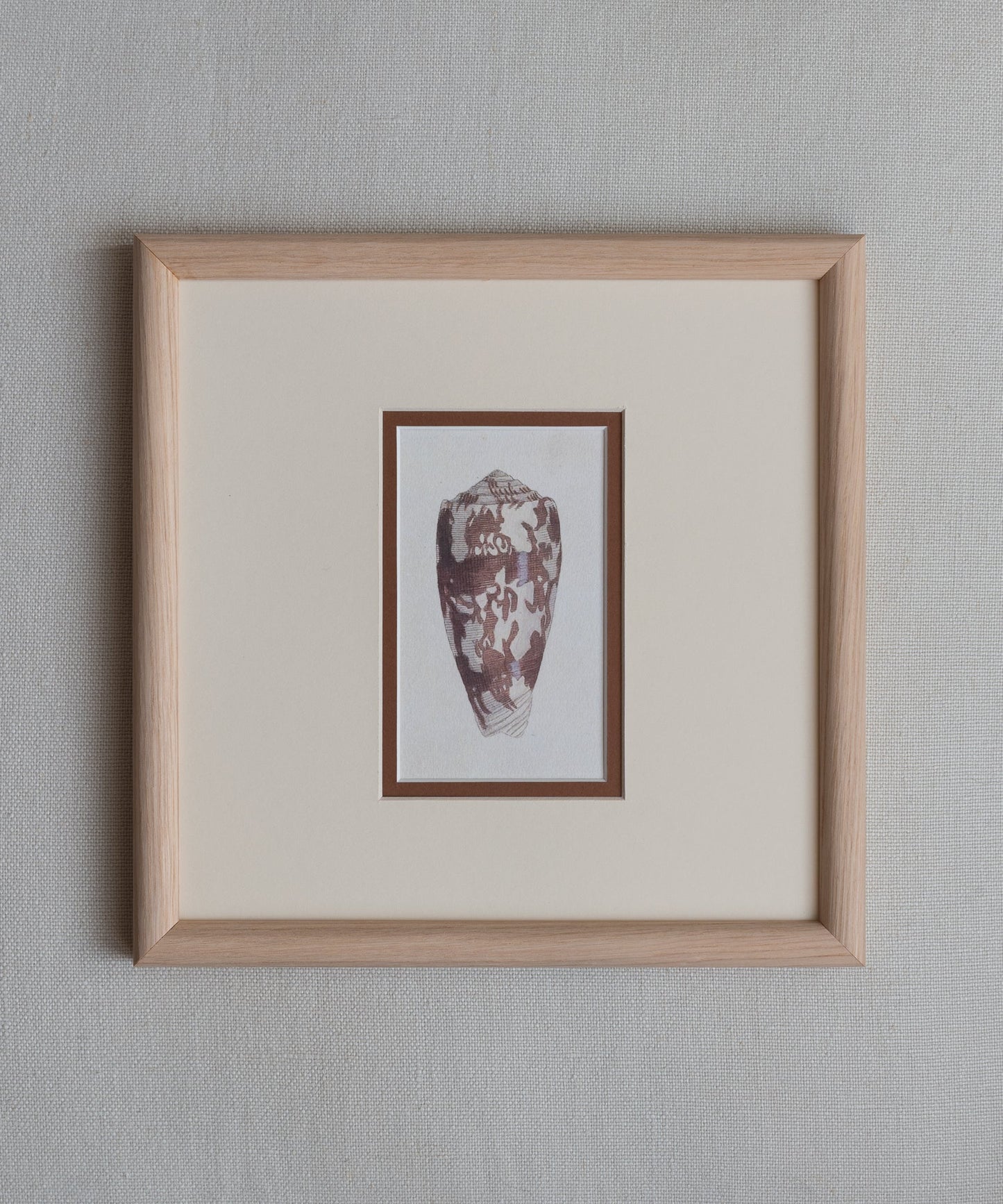The Shells Artwork