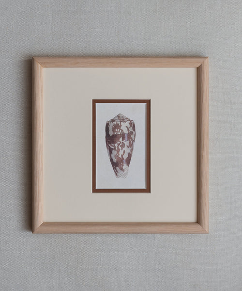 The Shells Artwork