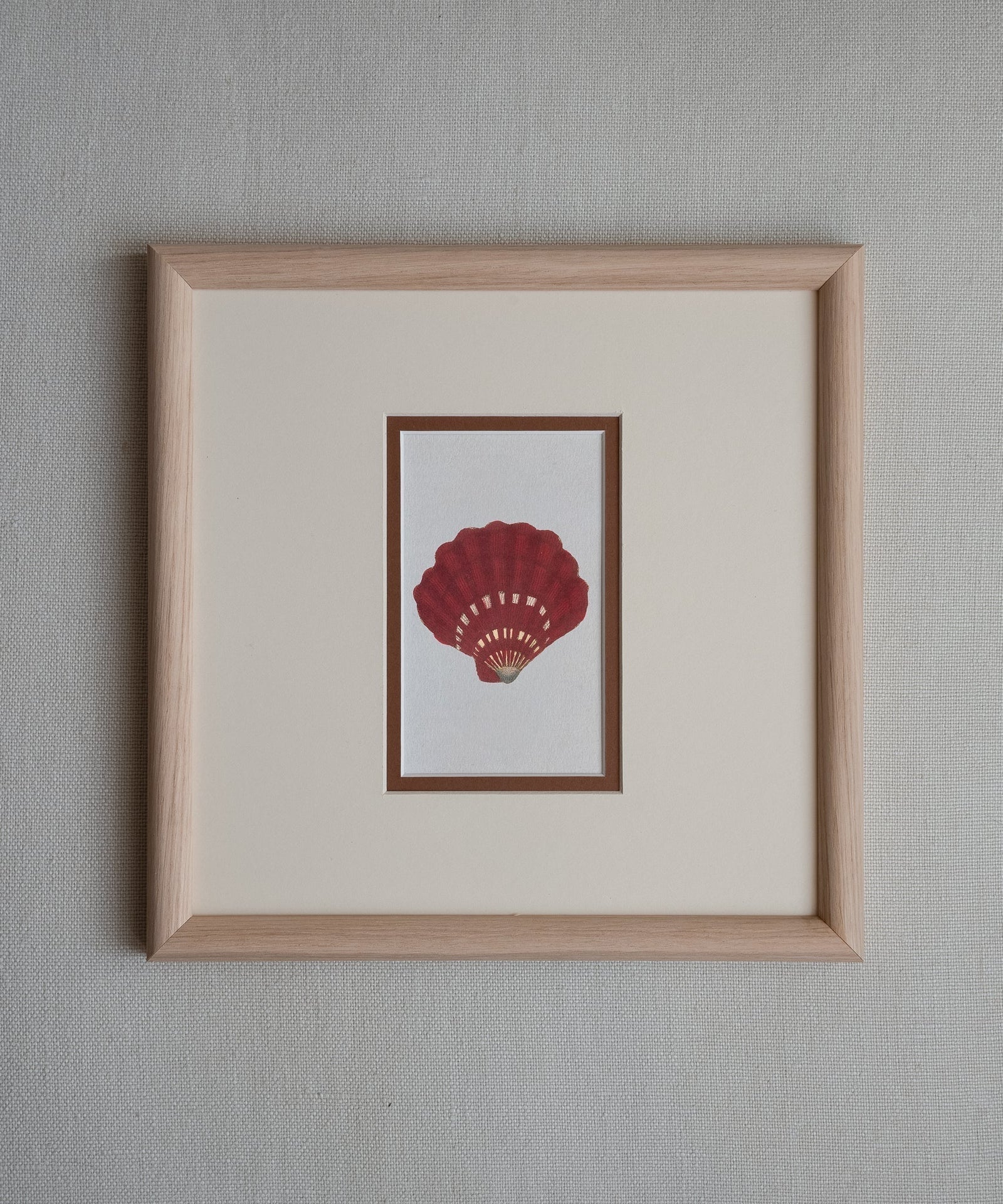 The Shells Artwork