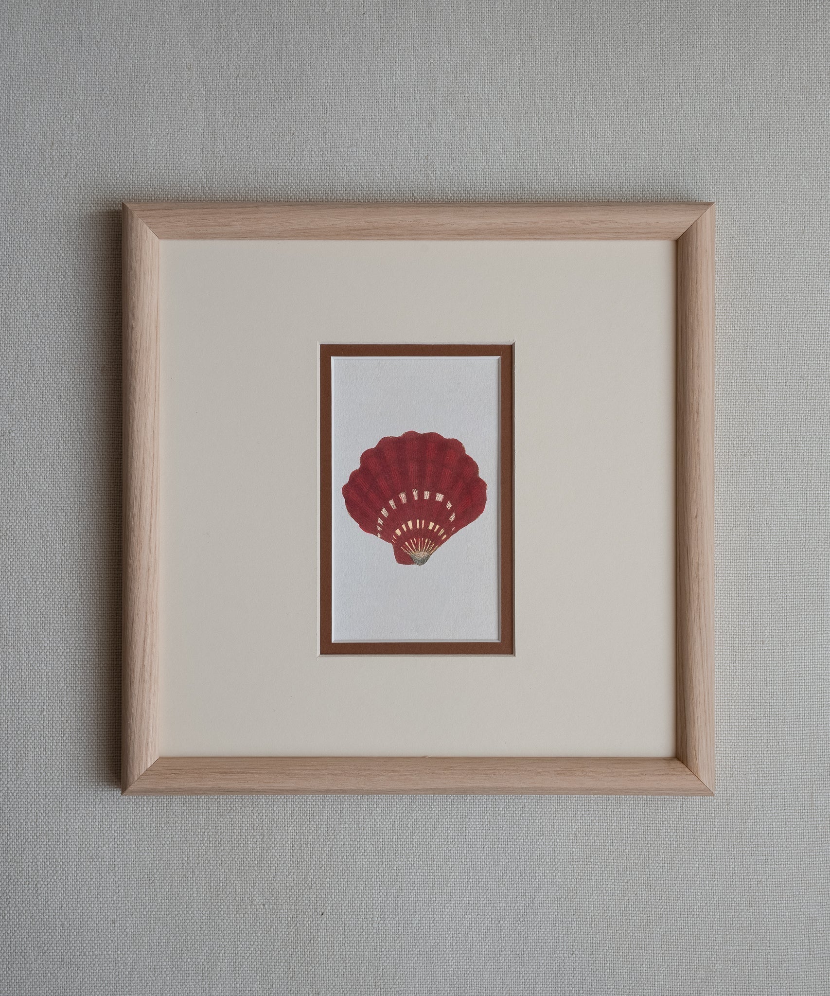 The Shells Artwork