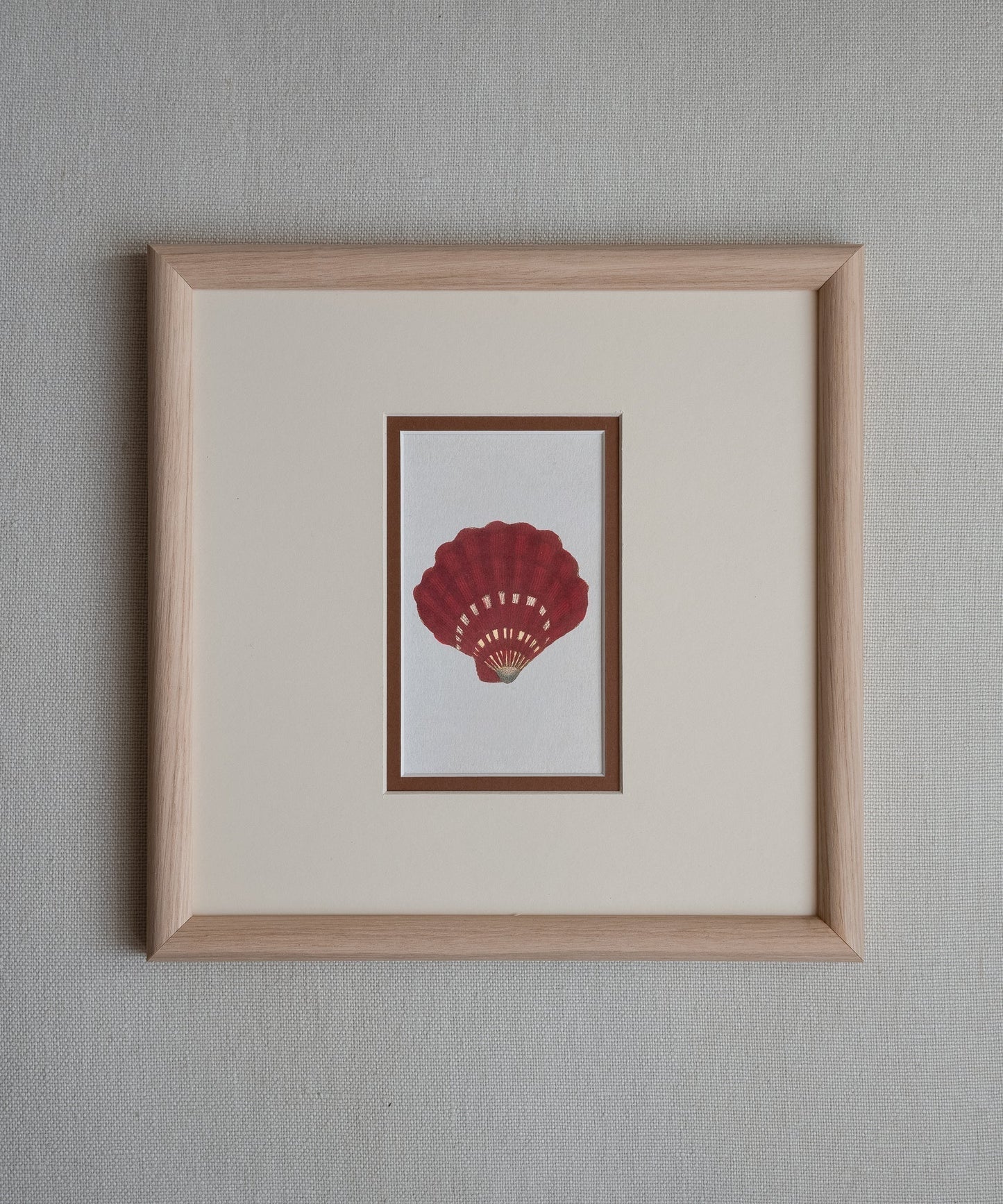 The Shells Artwork
