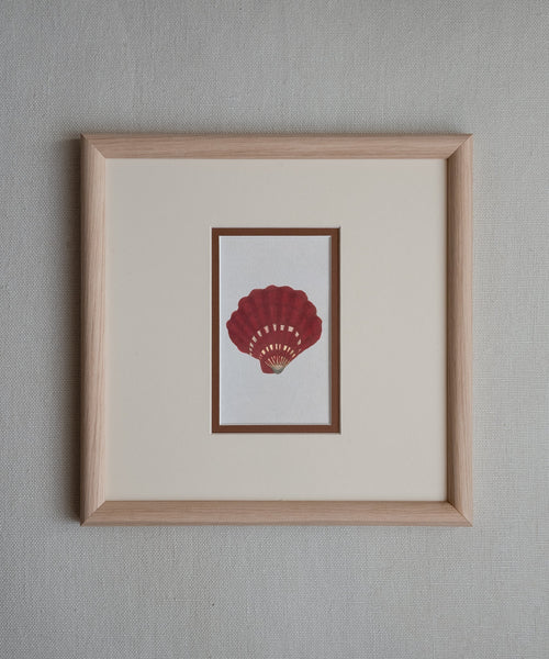 The Shells Artwork