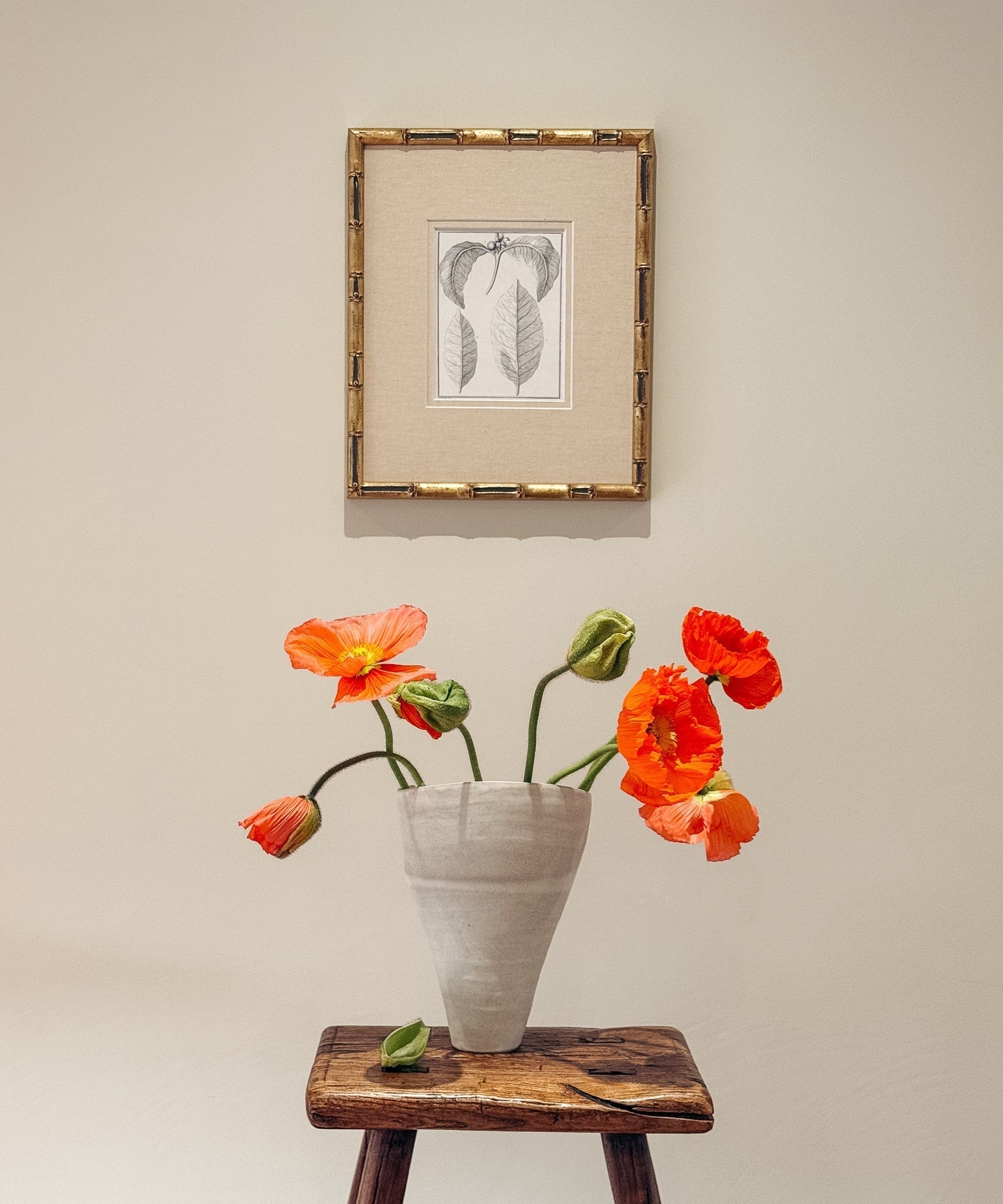 The Coffee Plant Artwork