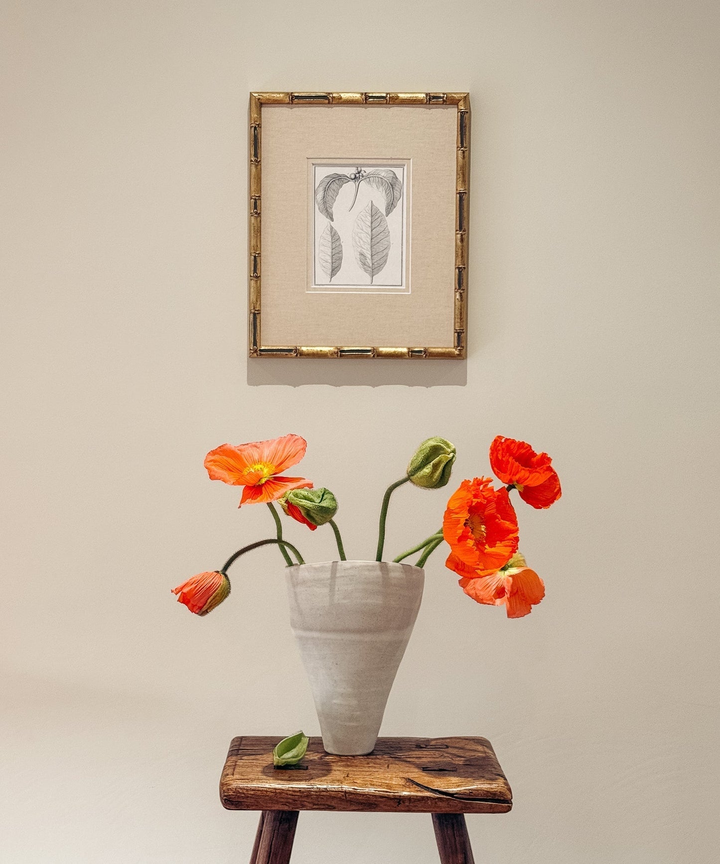 The Coffee Plant Artwork