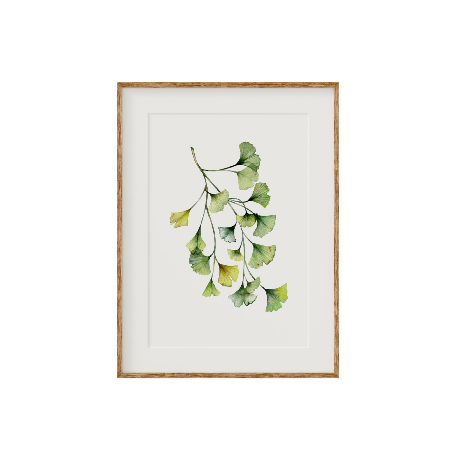 Ginkgo Biloba Fine Art Print