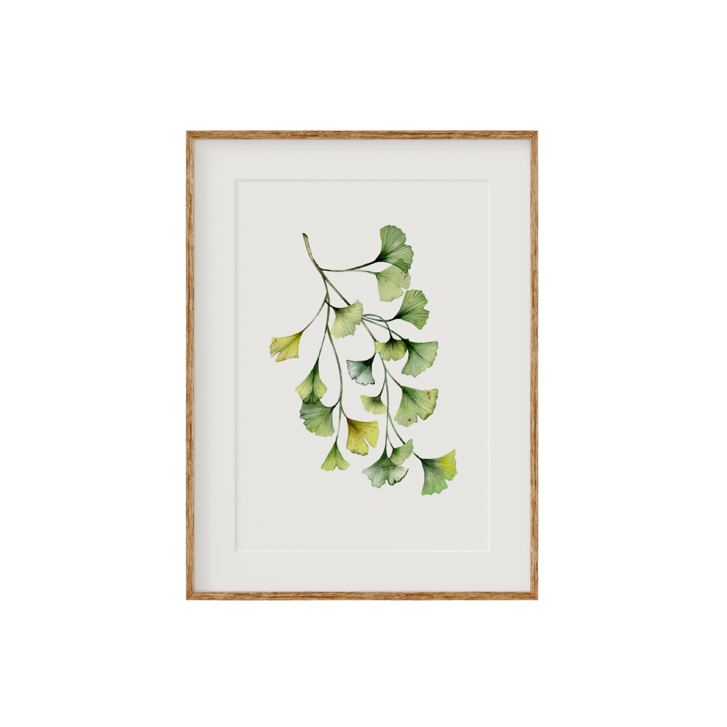 Ginkgo Biloba Fine Art Print