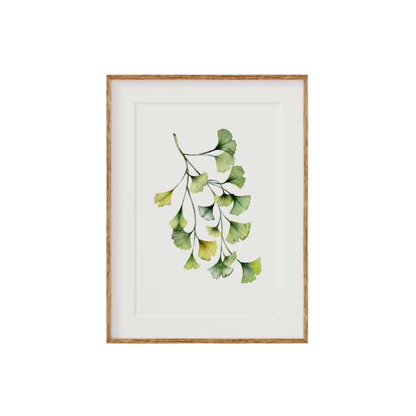Ginkgo Biloba Fine Art Print