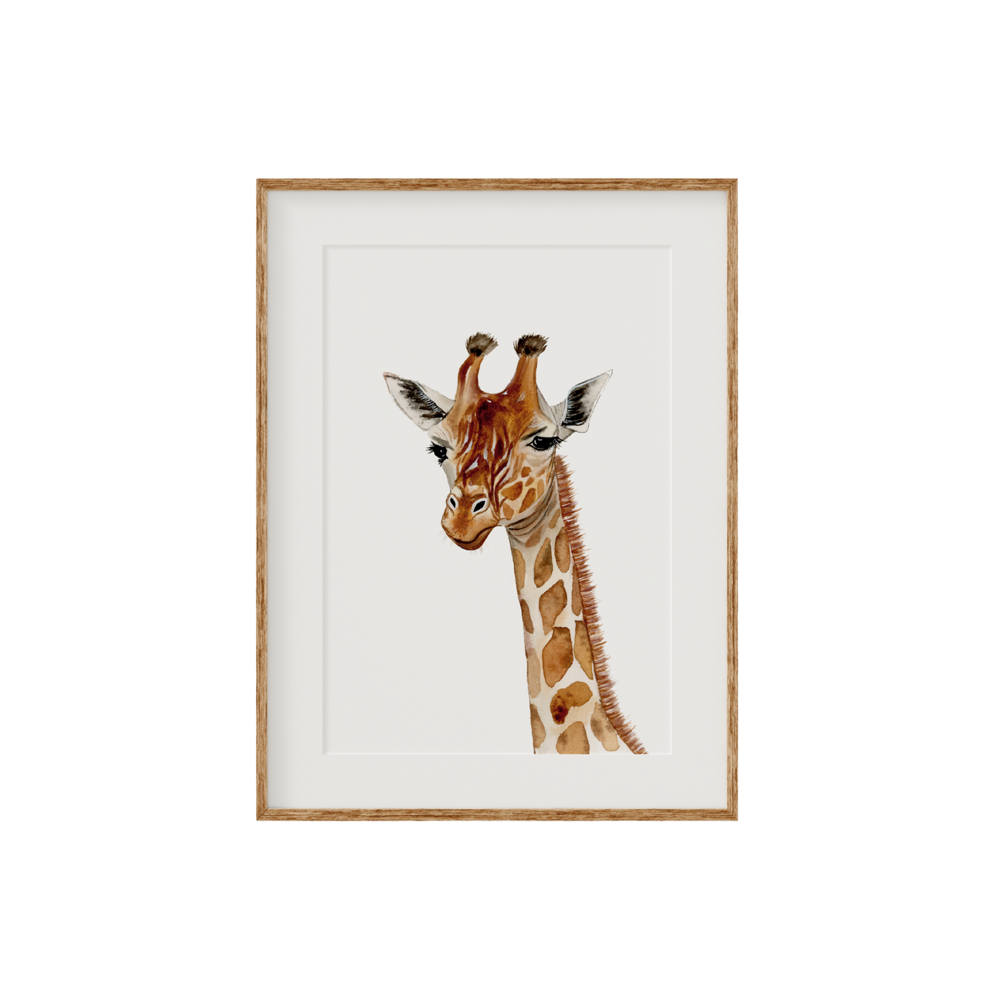 Giraffe Limited Edition Fine Art Print