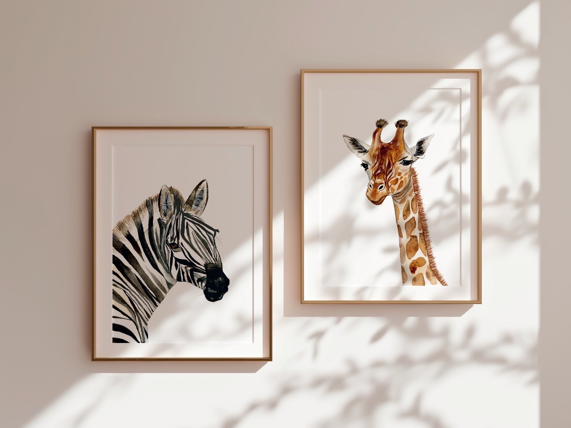 Zebra Limited Edition Fine Art Print