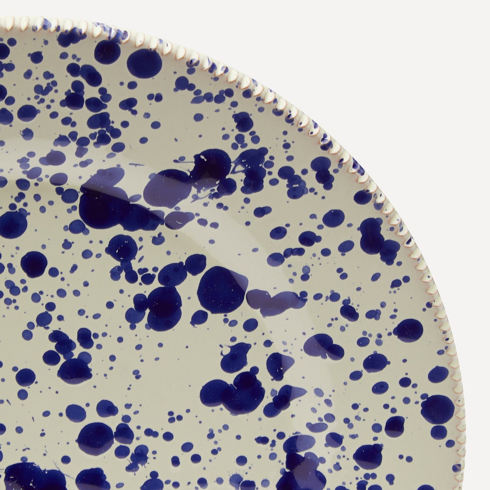 Dinner Plate Blueberry