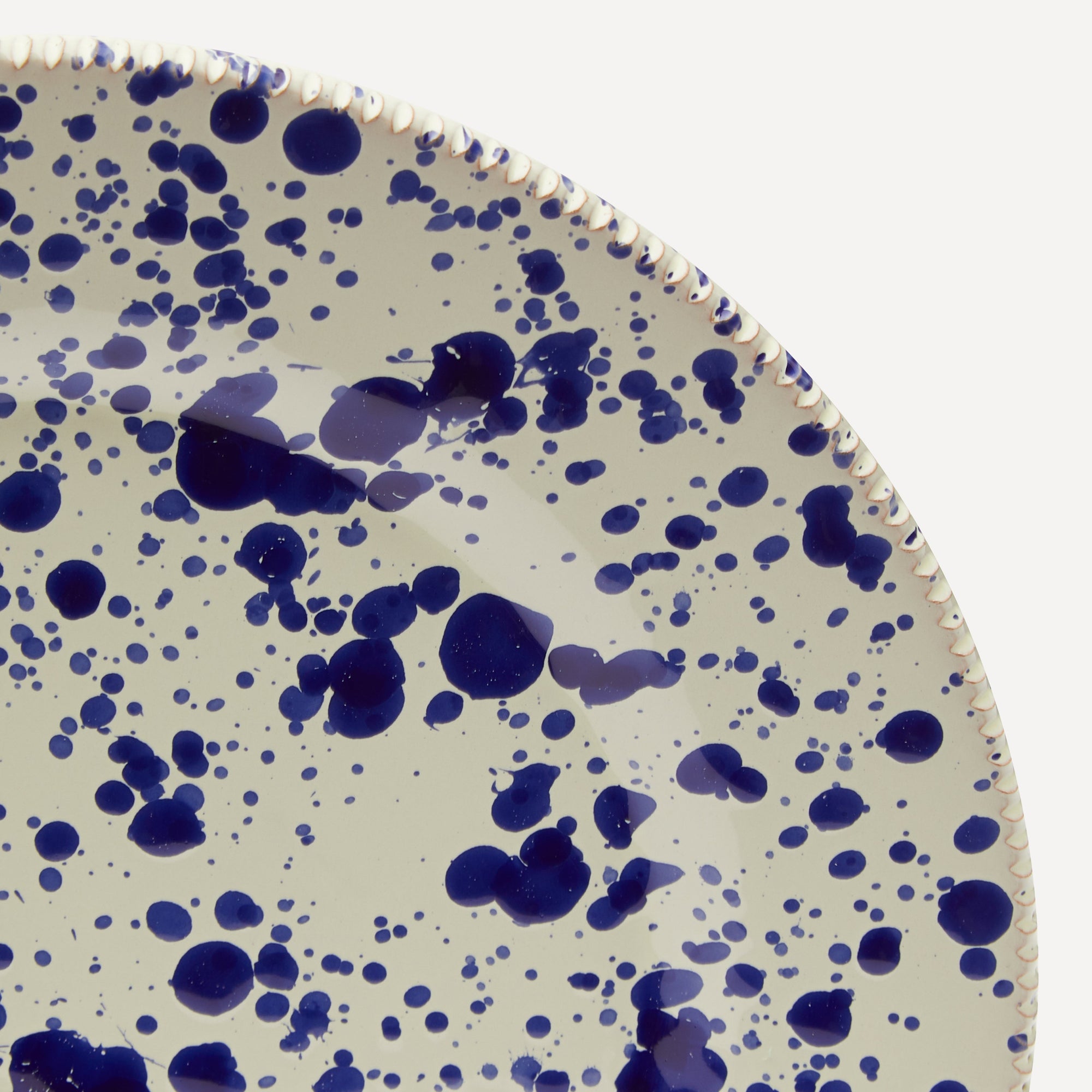 Dinner Plate Blueberry