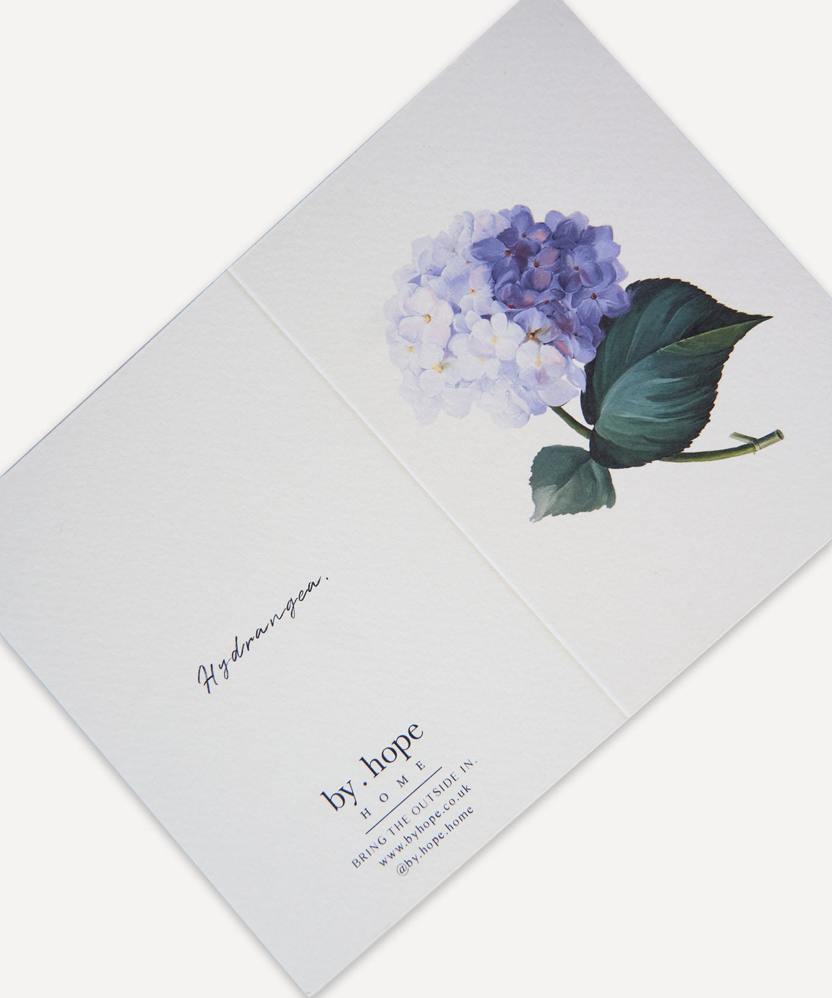 Hydrangea Greetings Card