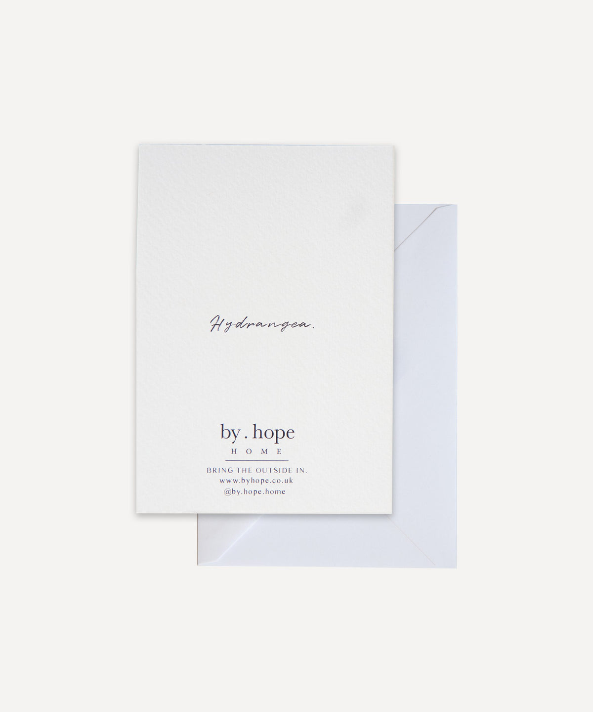 Hydrangea Greetings Card