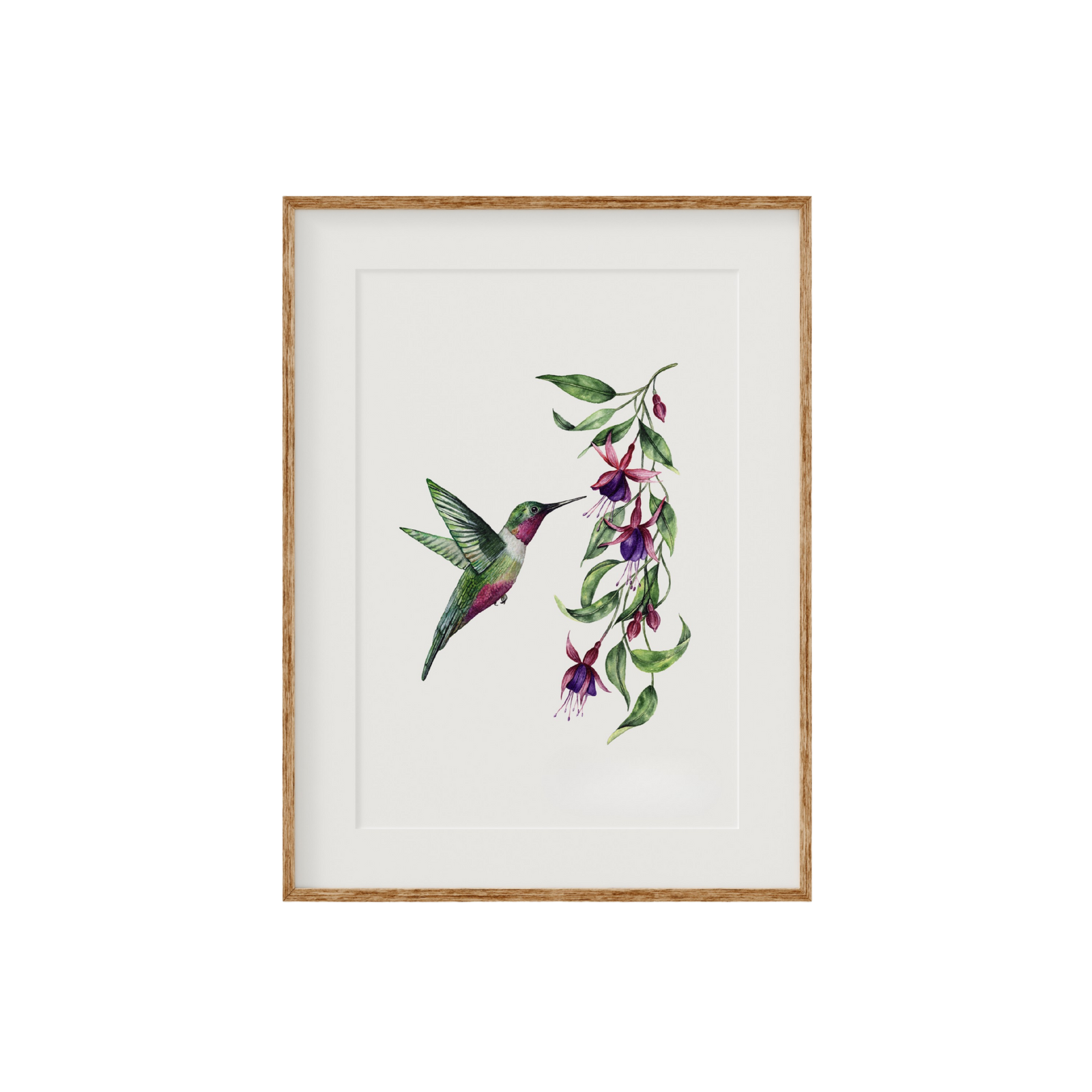 Hummingbird Fine Art Print