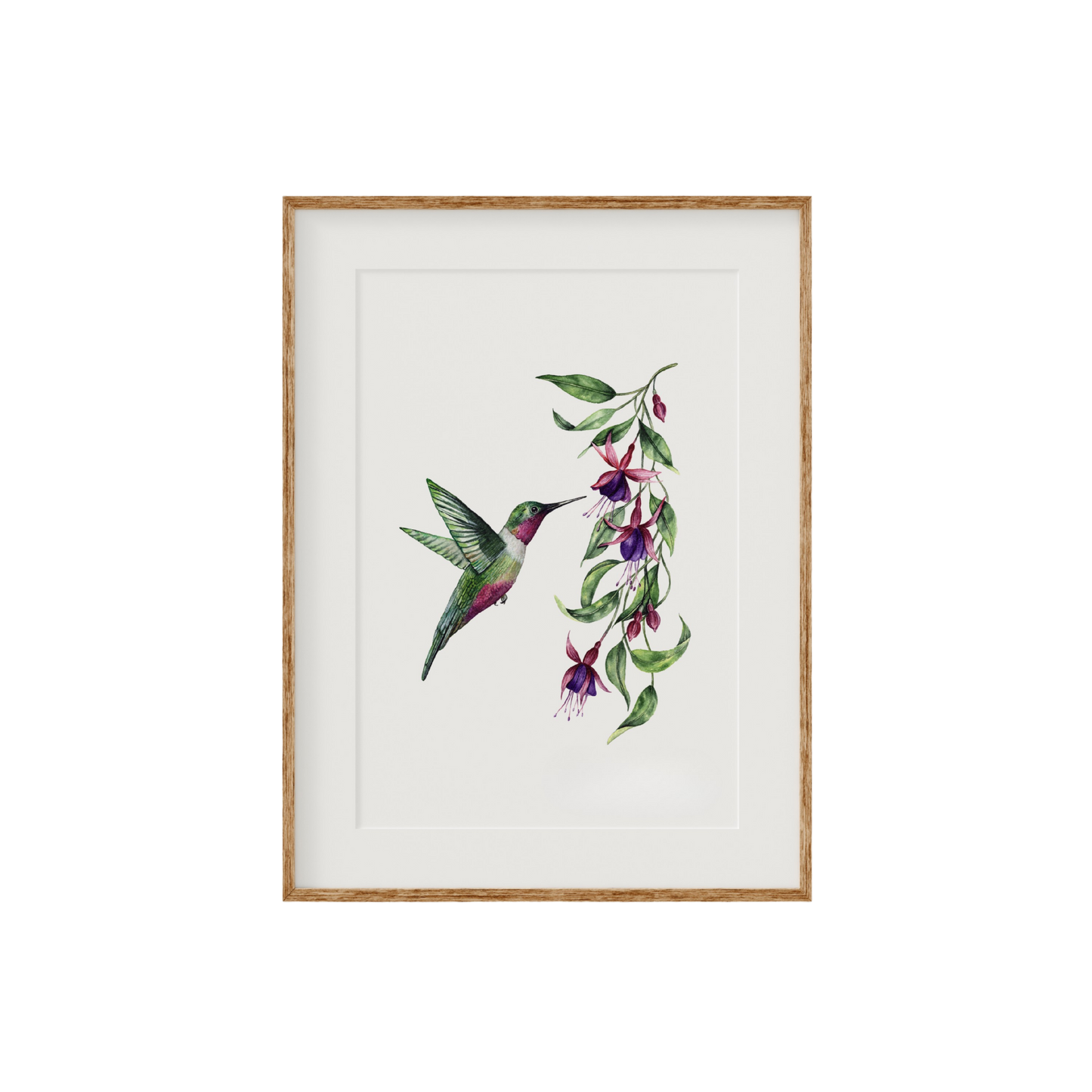 Hummingbird Fine Art Print