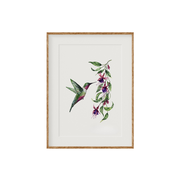 Hummingbird Fine Art Print