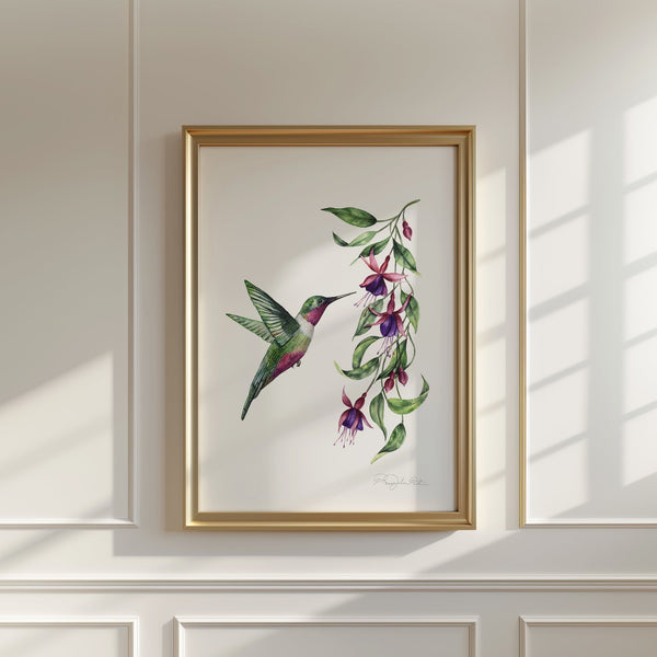 Hummingbird Fine Art Print