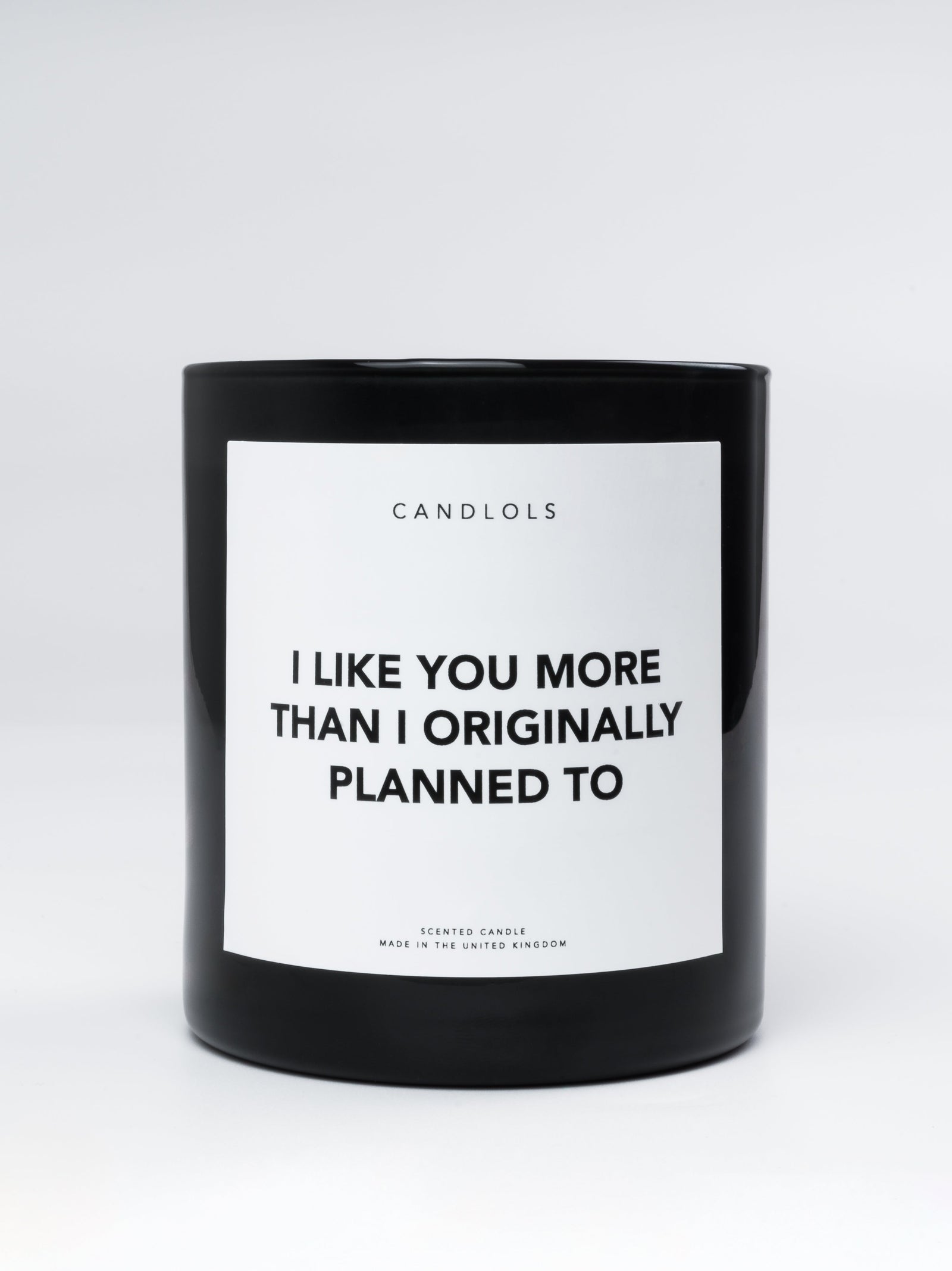 I Like You More Than I Originally Planned To, Luxury Scented Candle