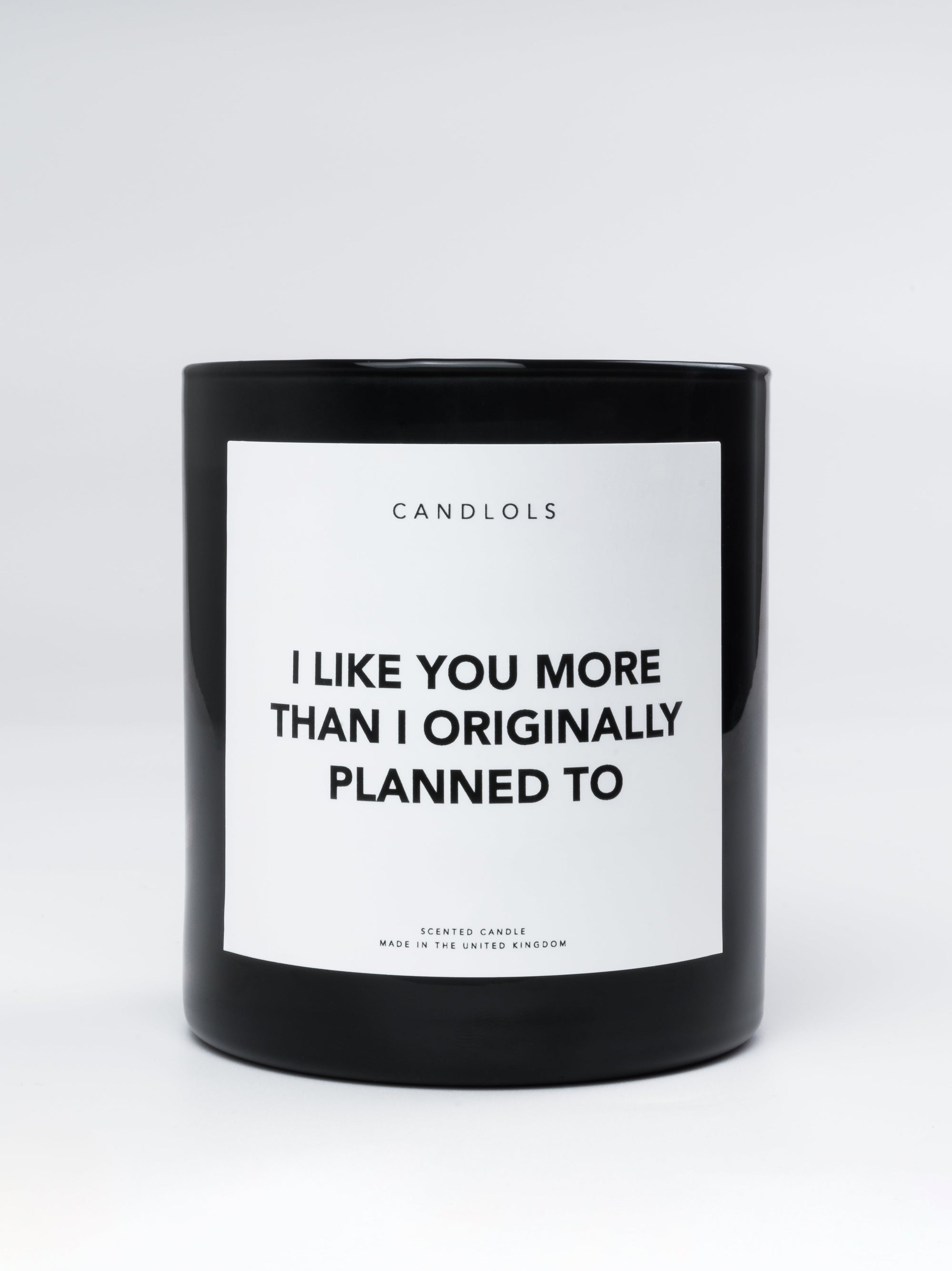 I Like You More Than I Originally Planned To, Luxury Scented Candle