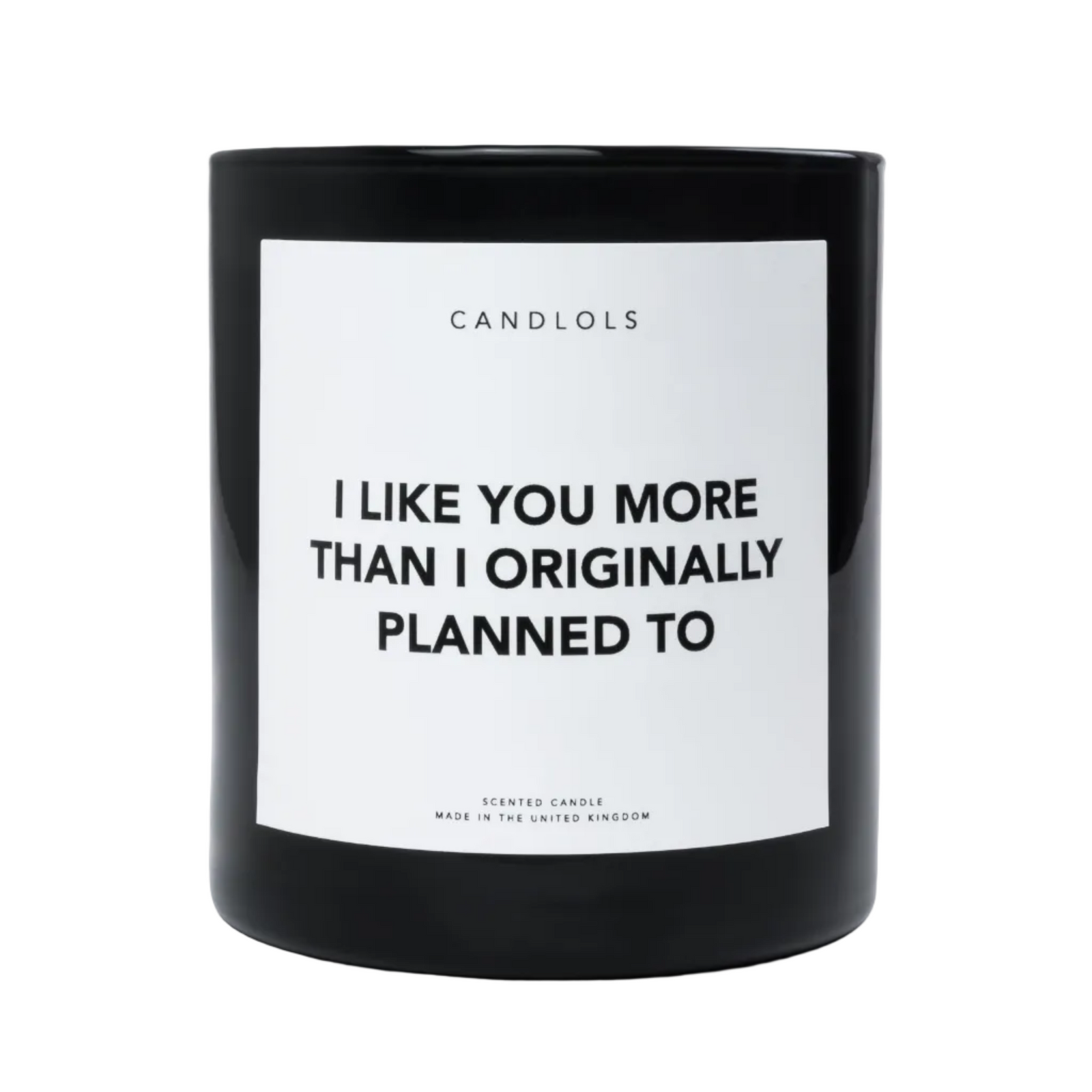 I Like You More Than I Originally Planned To, Luxury Scented Candle